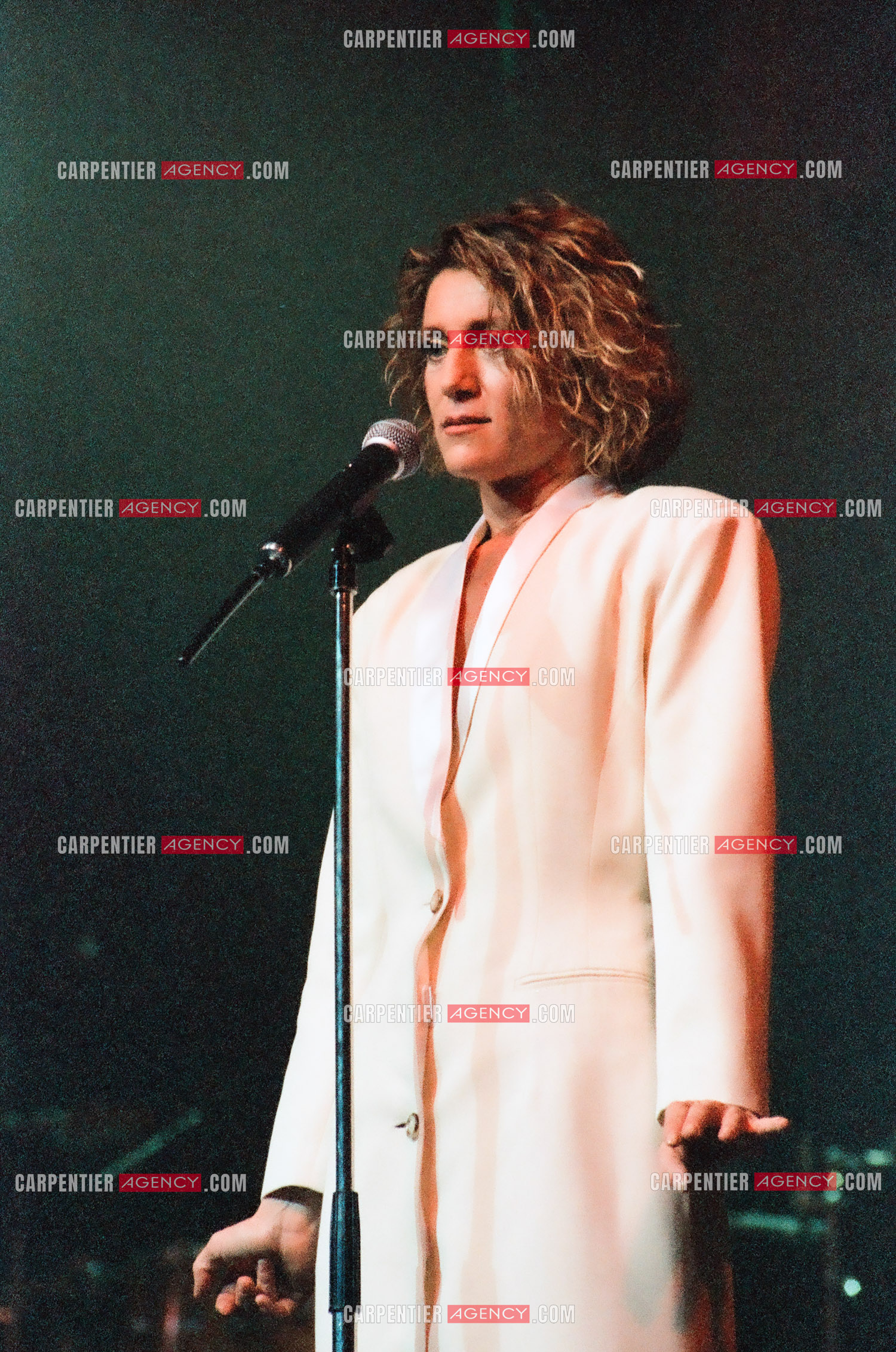 La chanteuse Sheila en concert au Zénith de Paris en 1985.    ( Exclusif )