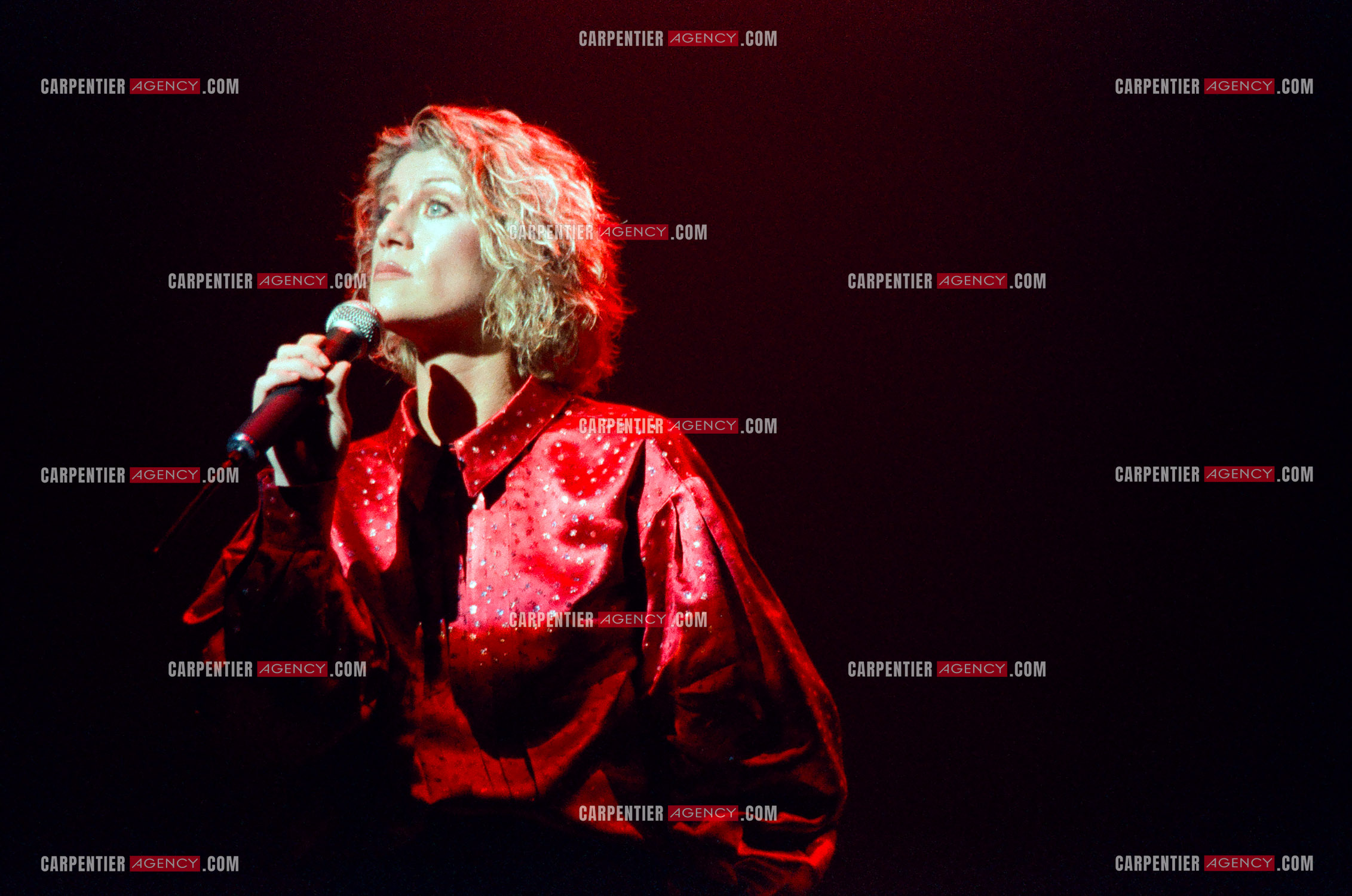 La chanteuse Sheila en concert au Zénith de Paris en 1985.    ( Exclusif )