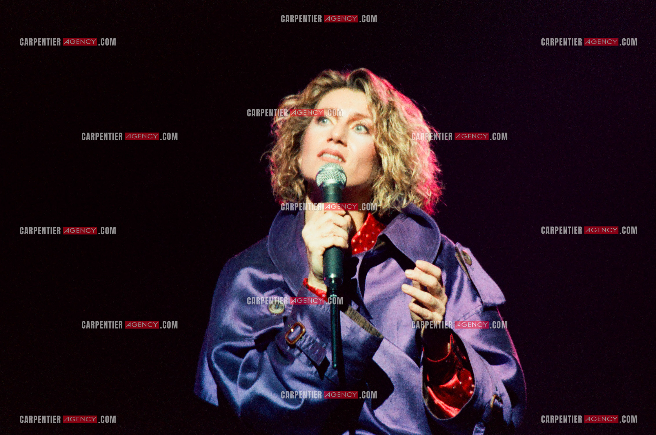 La chanteuse Sheila en concert au Zénith de Paris en 1985.    ( Exclusif )