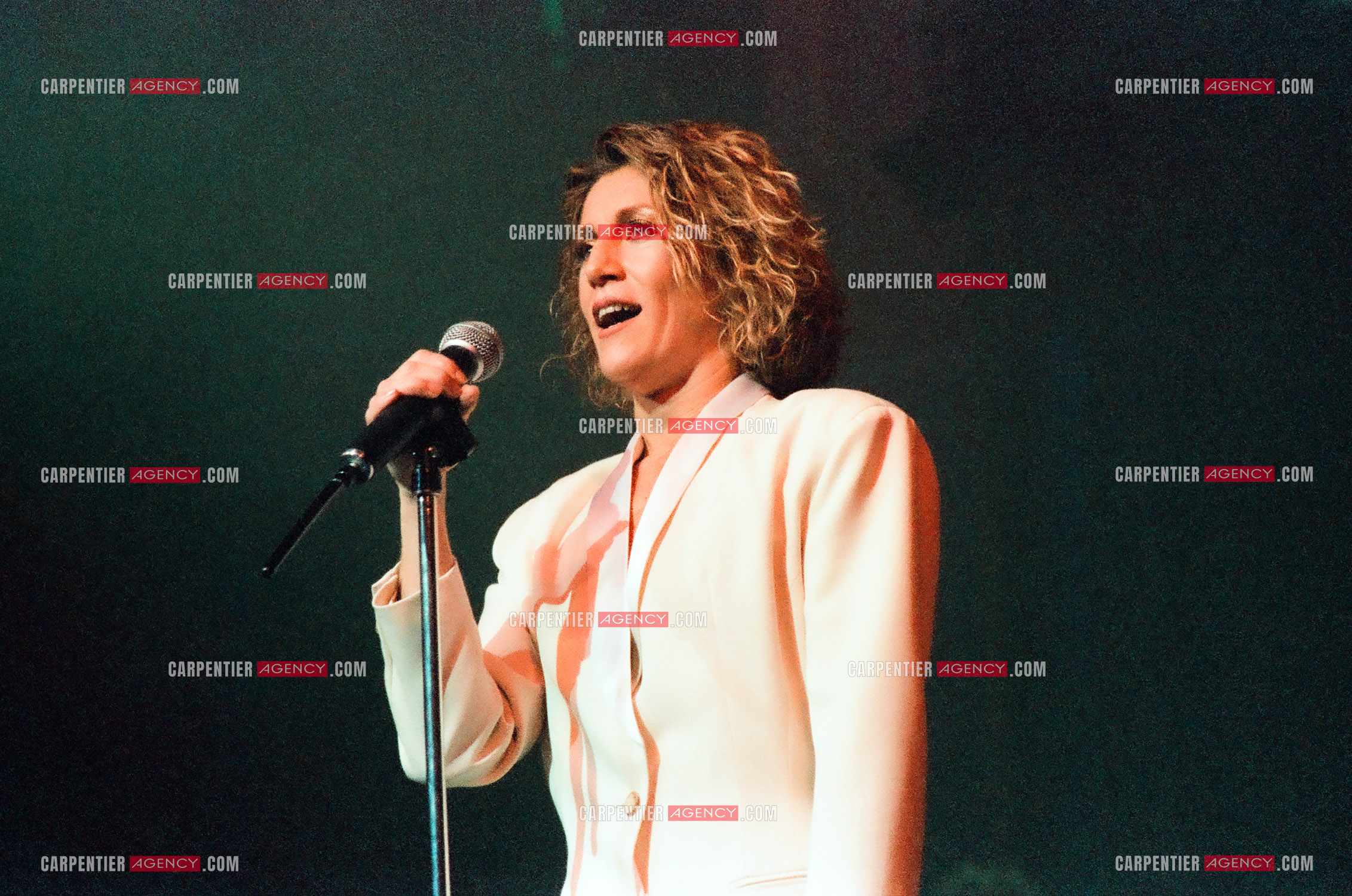 La chanteuse Sheila en concert au Zénith de Paris en 1985.    ( Exclusif )