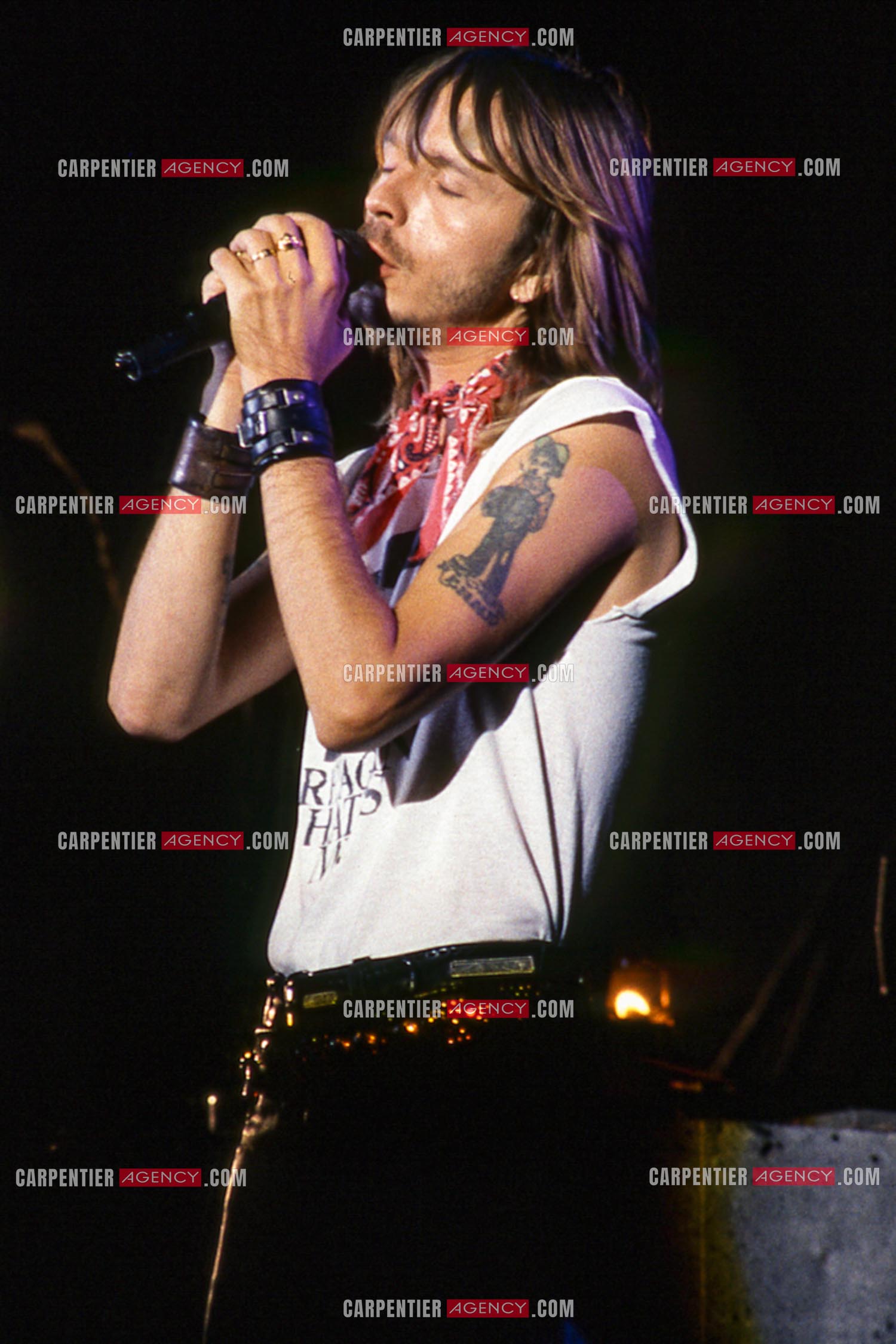 Le chanteur Renaud Séchan en concert.