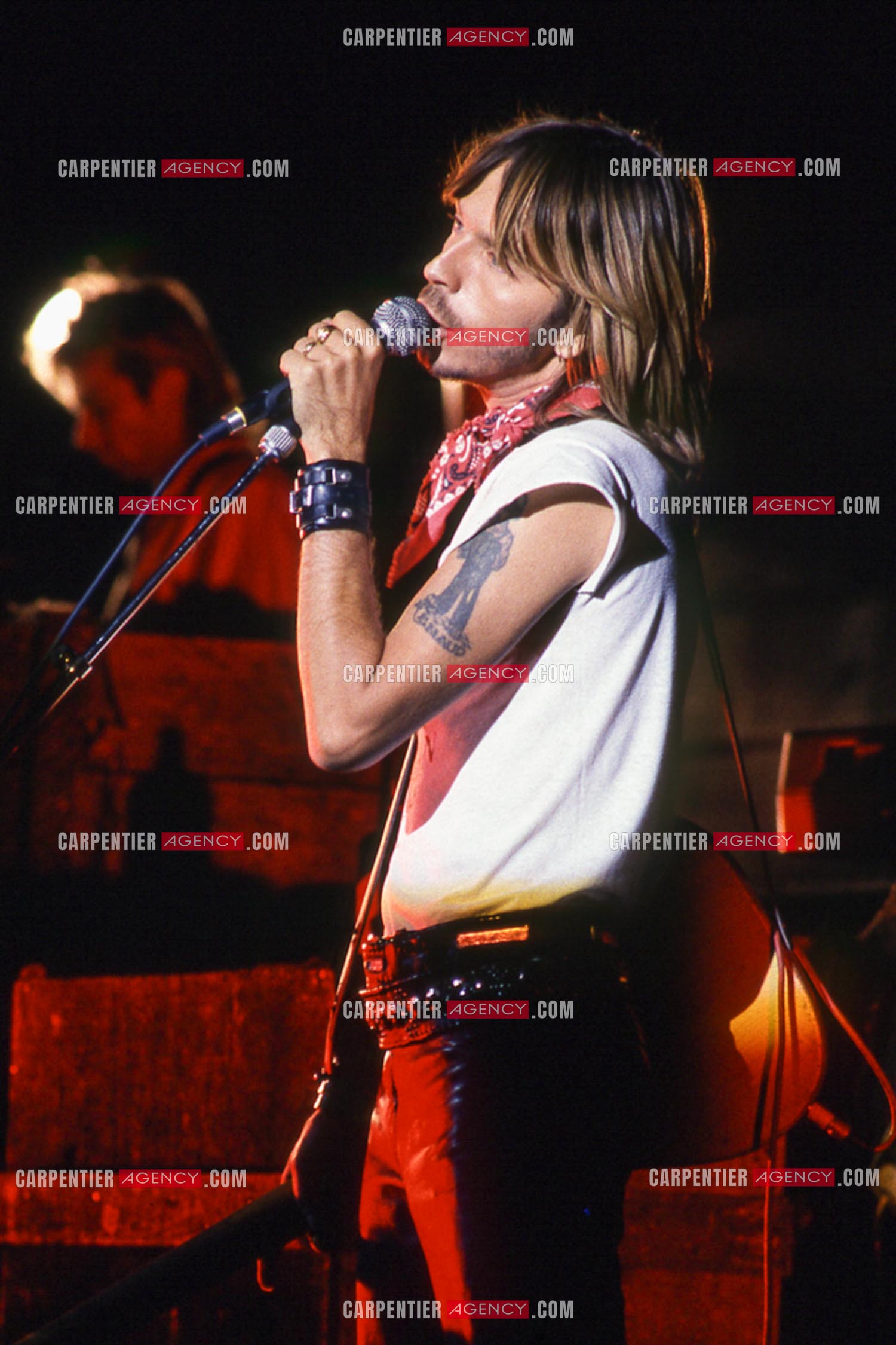 Le chanteur Renaud Séchan en concert.
