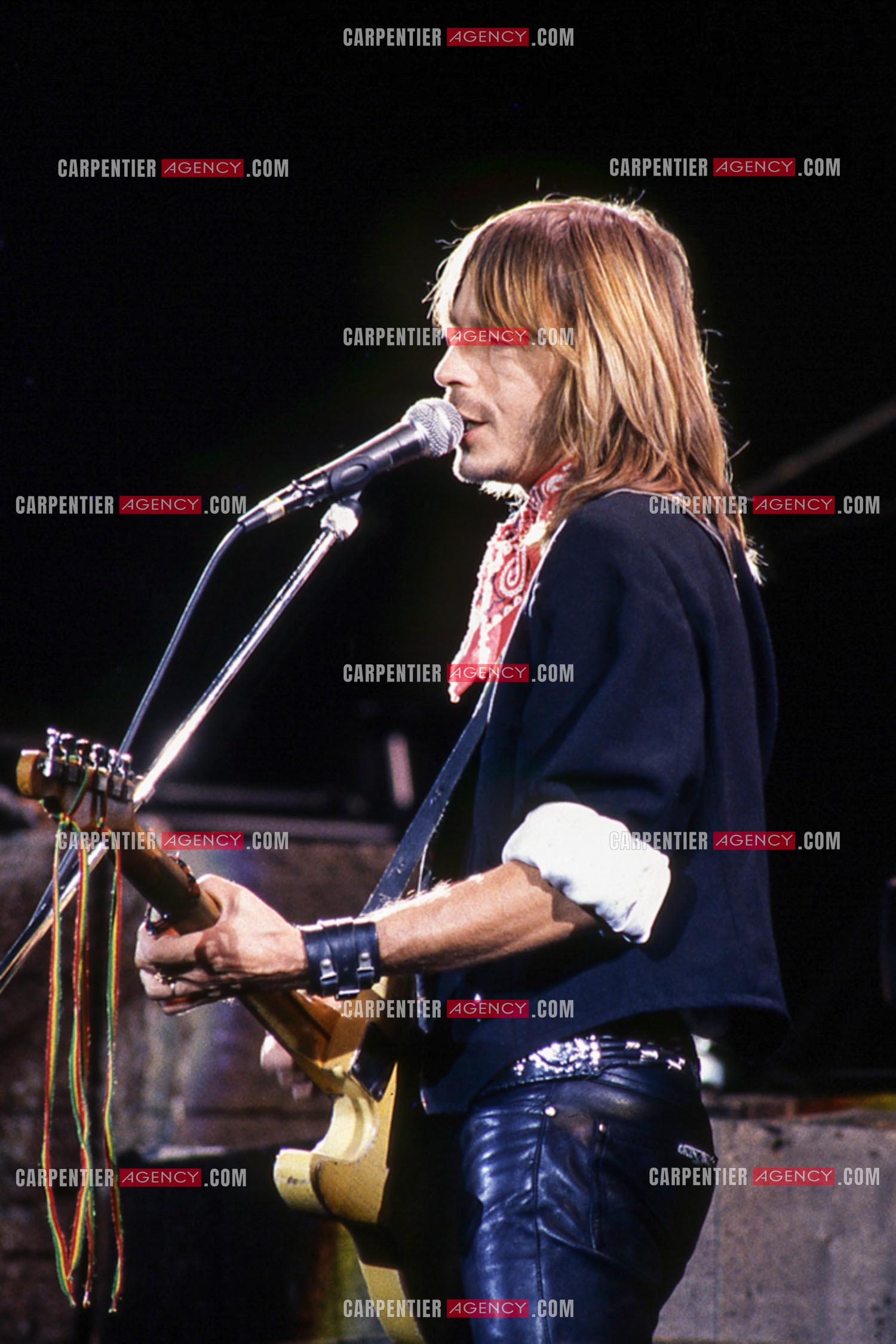Le chanteur Renaud Séchan en concert.