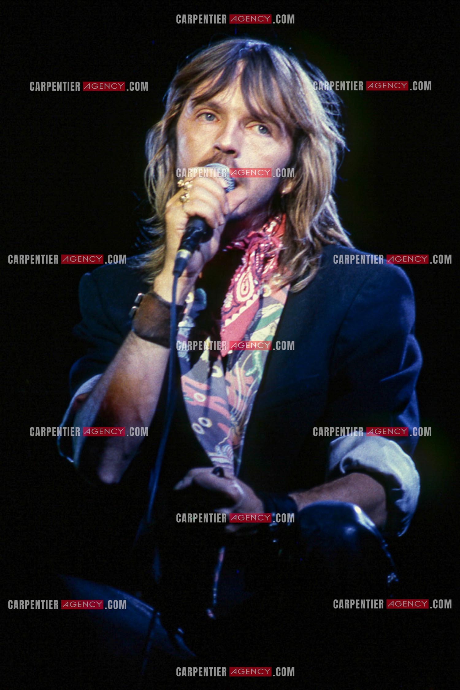 Le chanteur Renaud Séchan en concert.