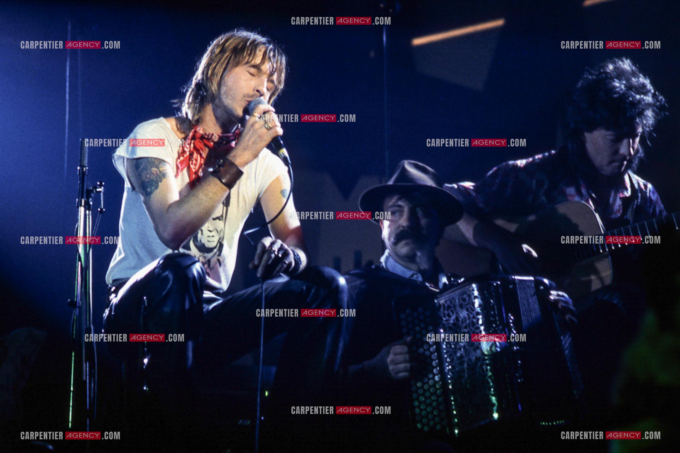 Le chanteur Renaud Séchan en concert.