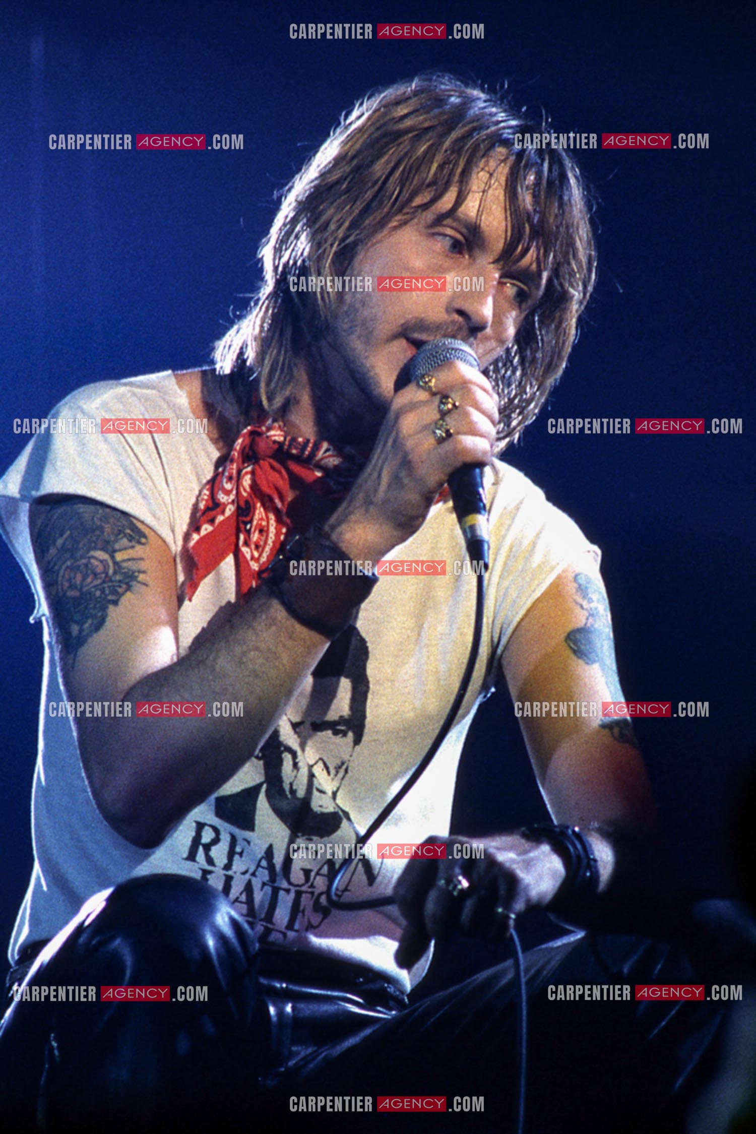 Le chanteur Renaud Séchan en concert.