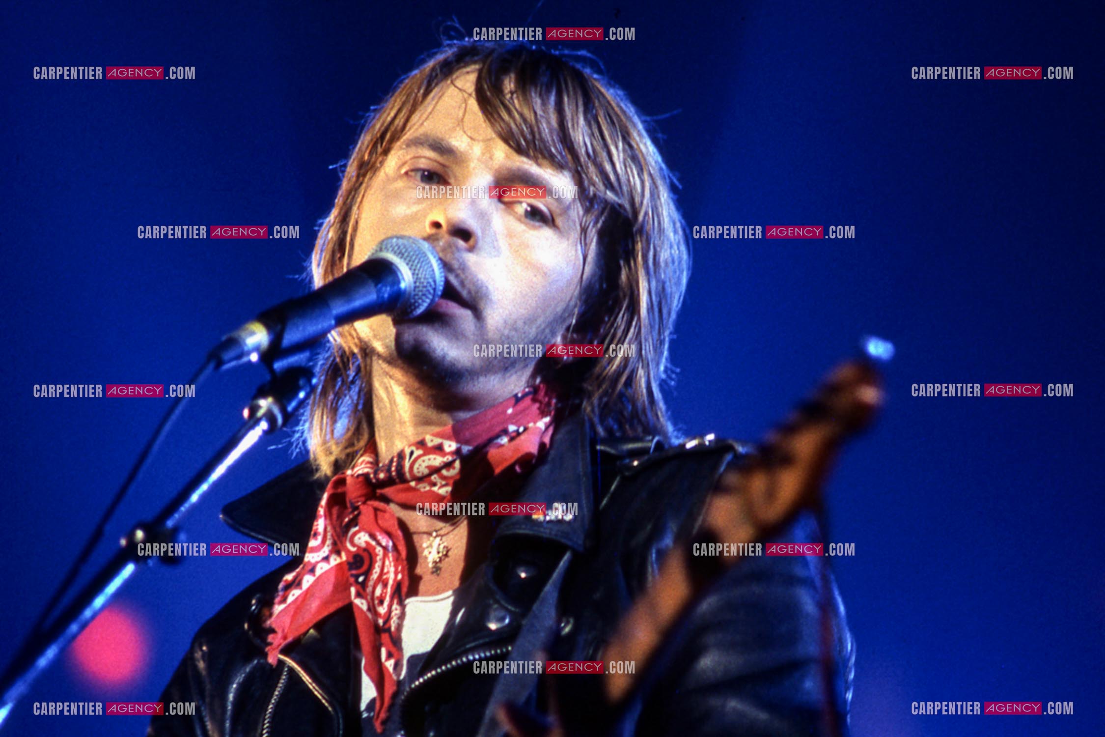 Le chanteur Renaud Séchan en concert.