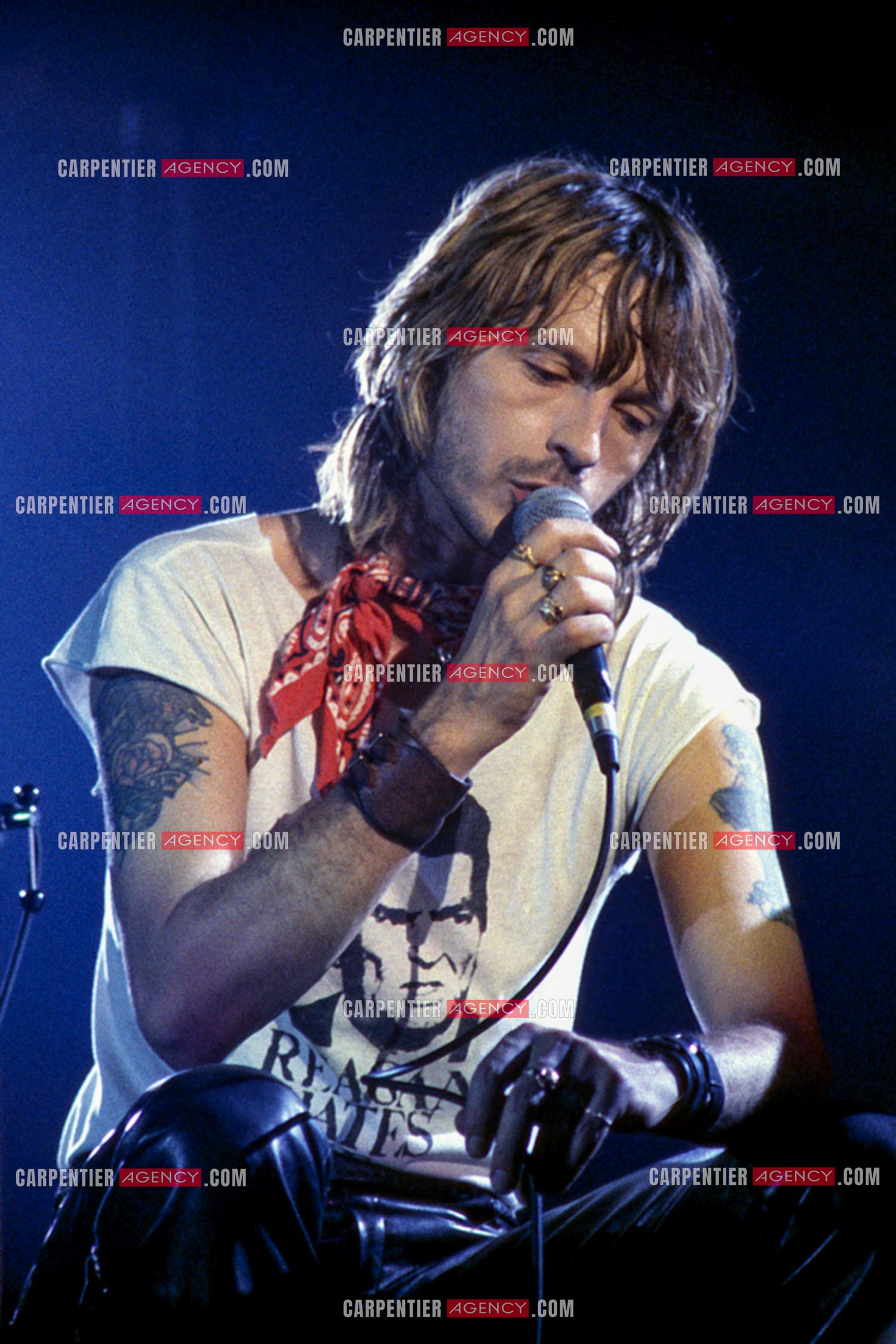 Le chanteur Renaud Séchan en concert.