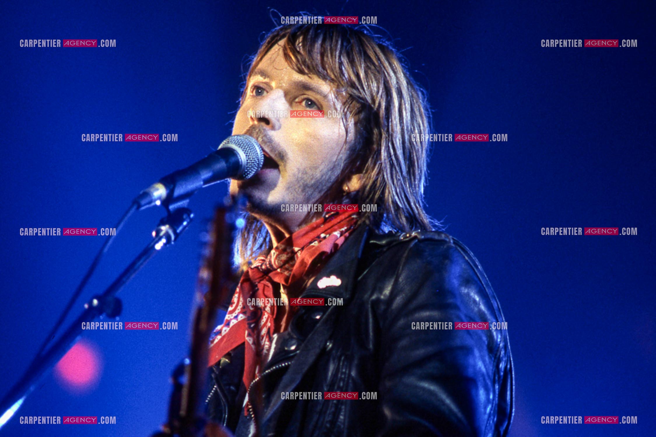 Le chanteur Renaud Séchan en concert.