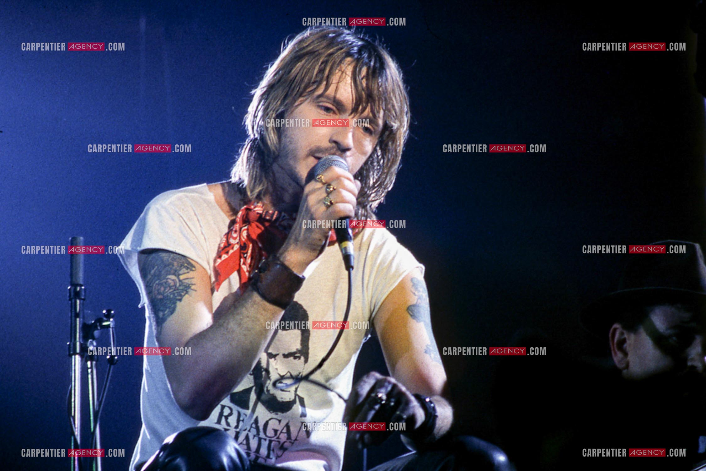Le chanteur Renaud Séchan en concert.