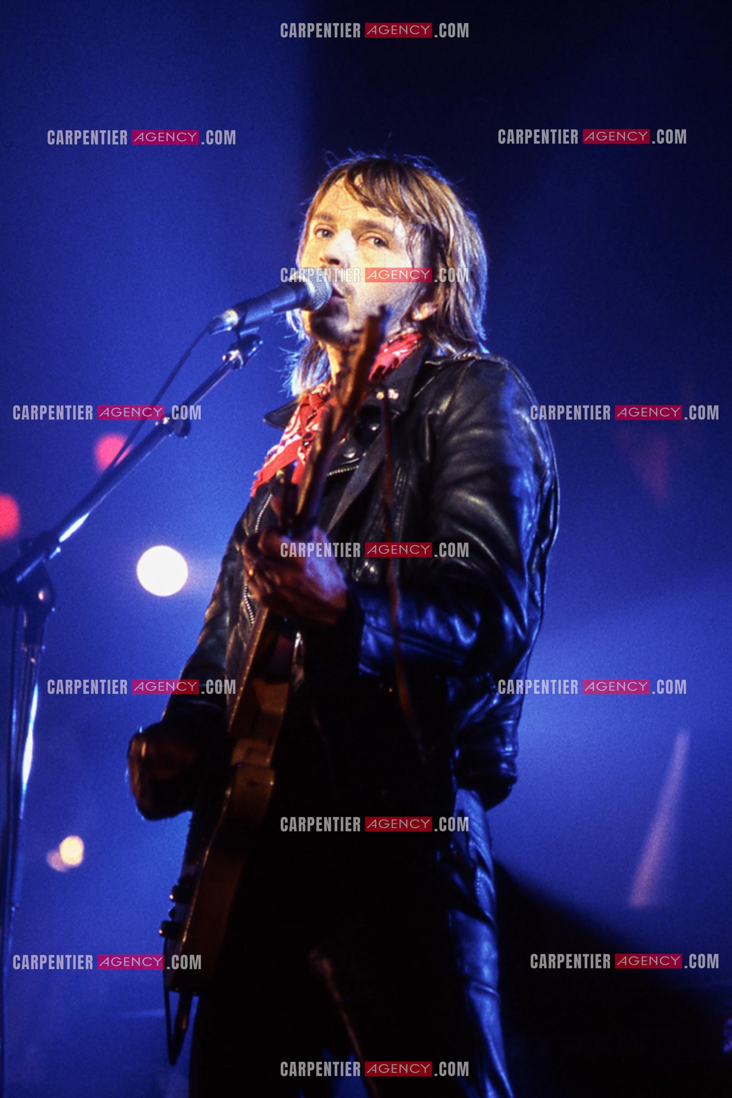 Le chanteur Renaud Séchan en concert.