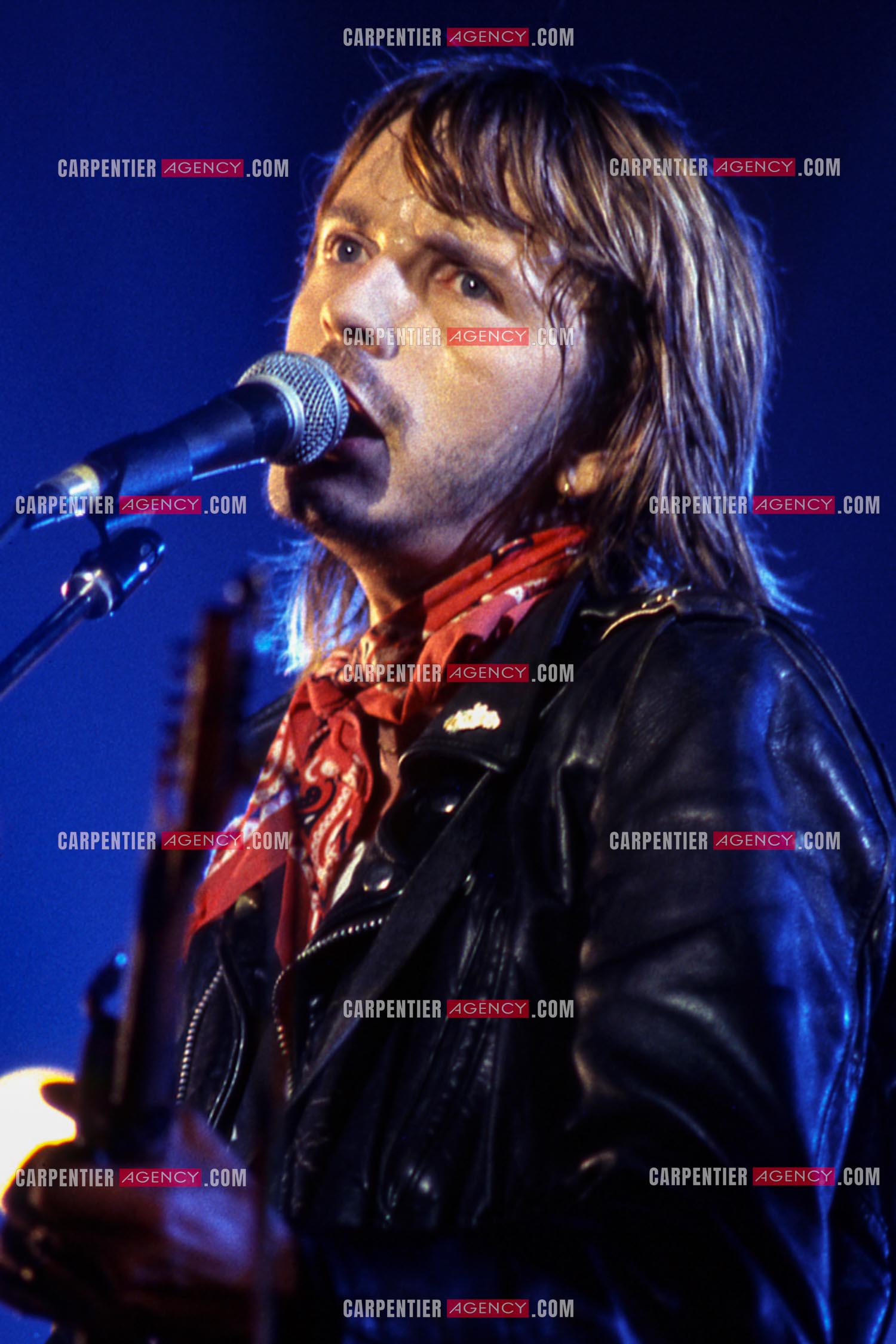 Le chanteur Renaud Séchan en concert.