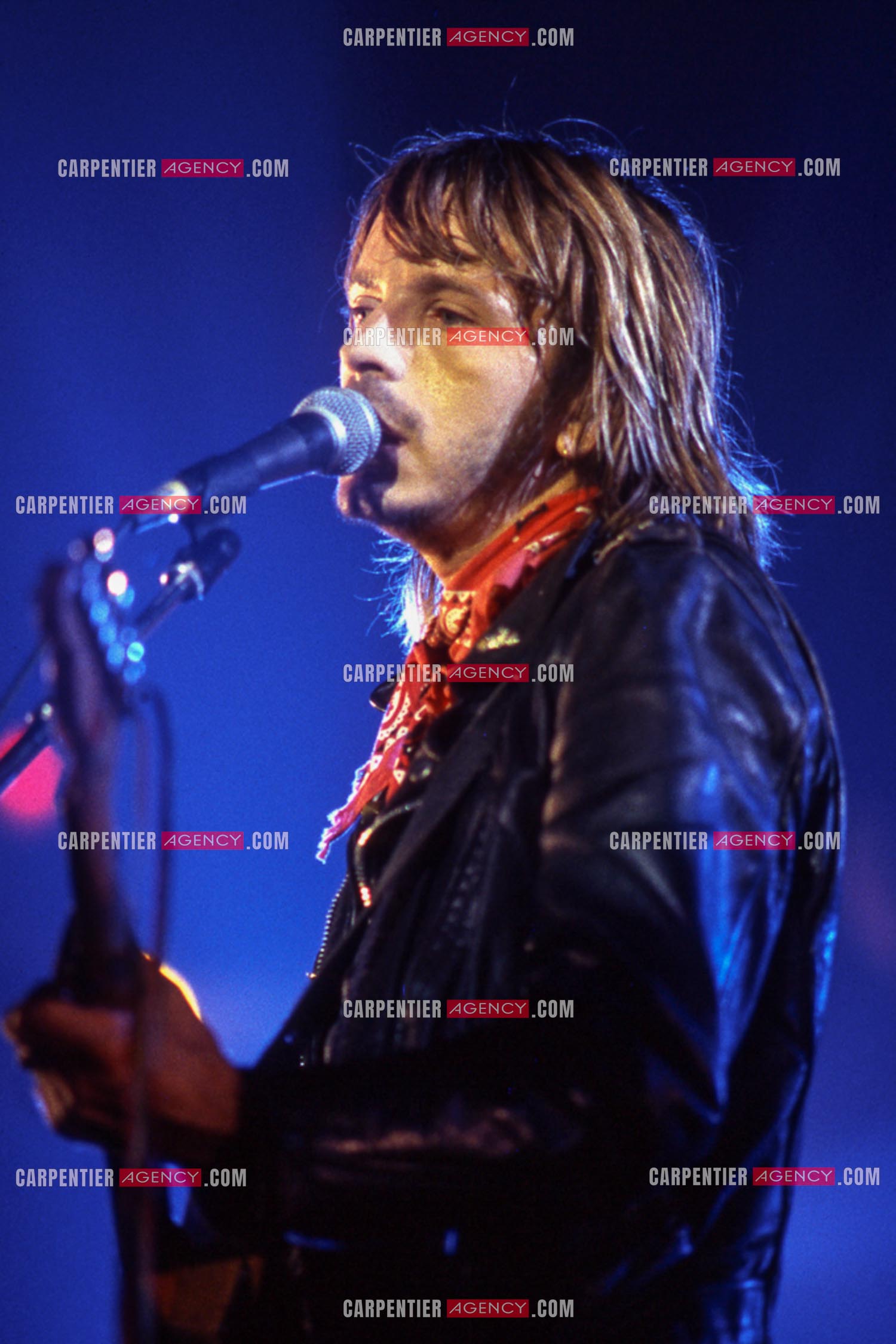 Le chanteur Renaud Séchan en concert.