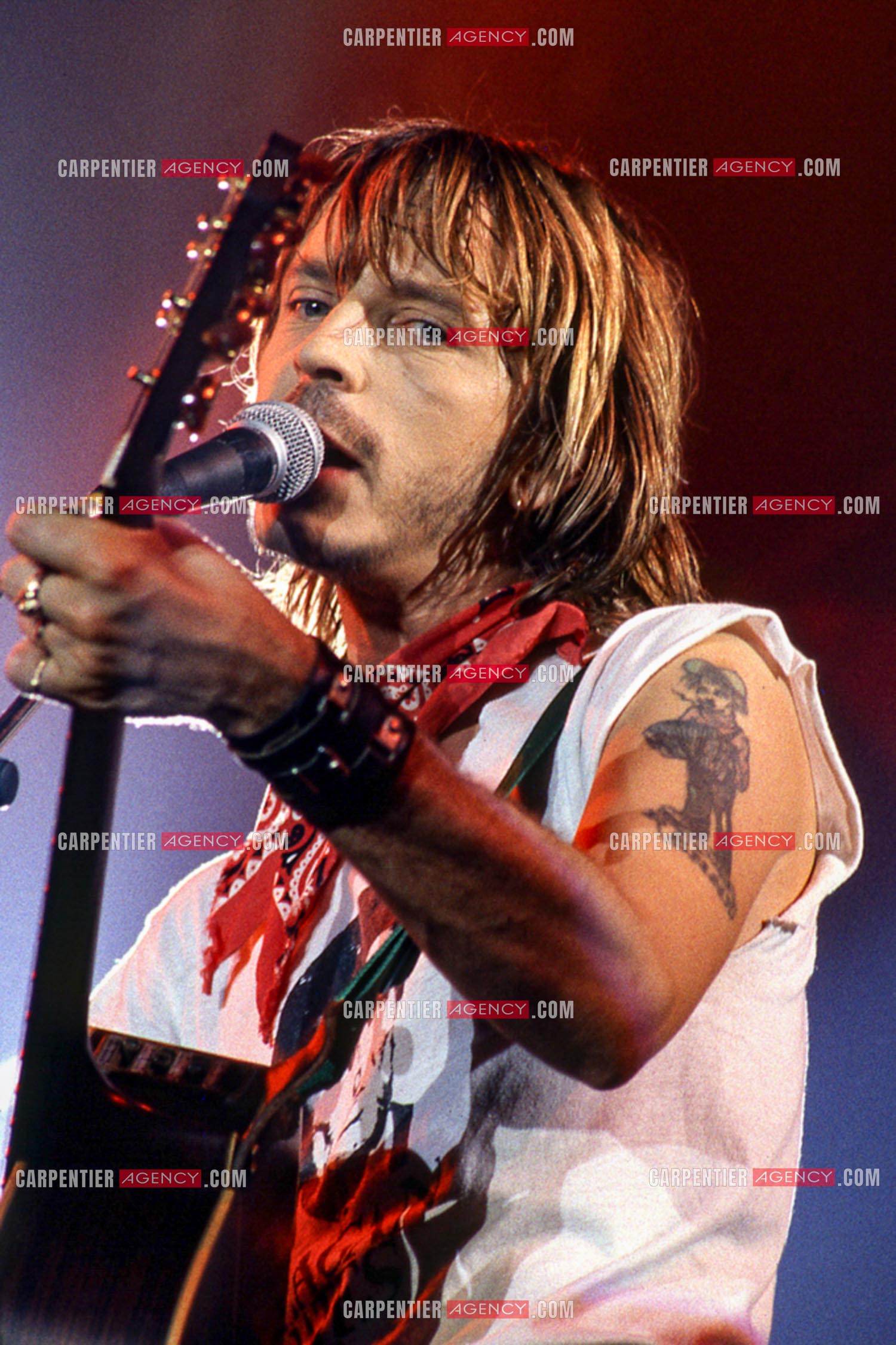 Le chanteur Renaud Séchan en concert.