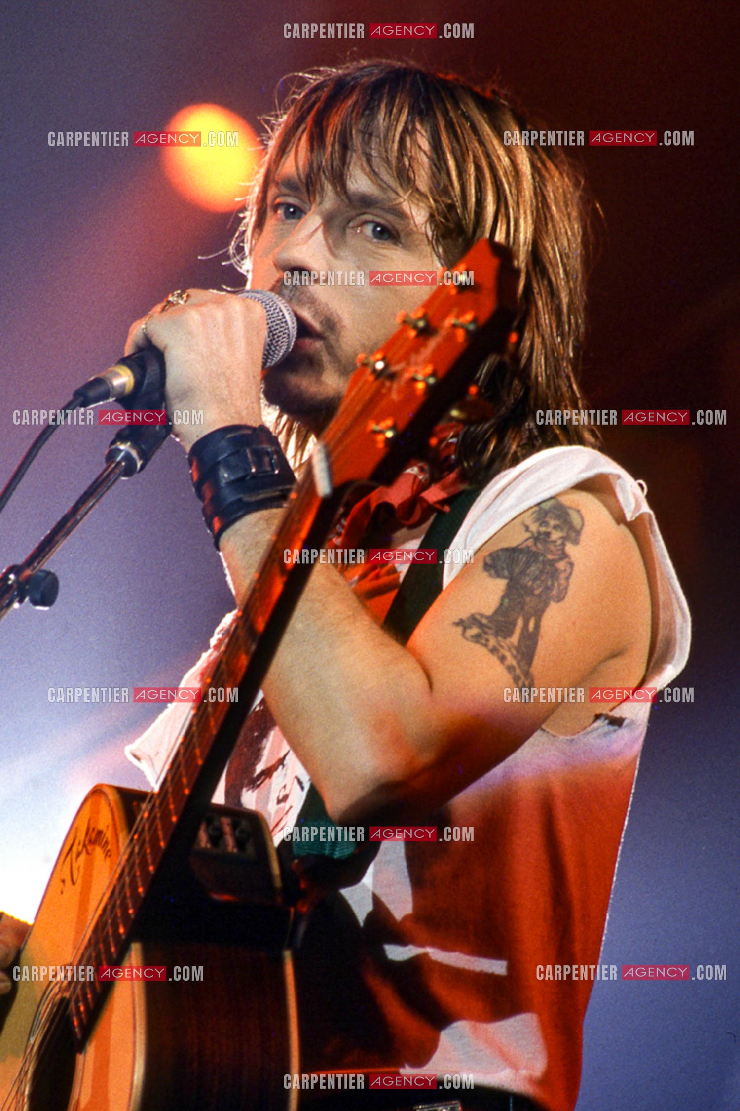 Le chanteur Renaud Séchan en concert.
