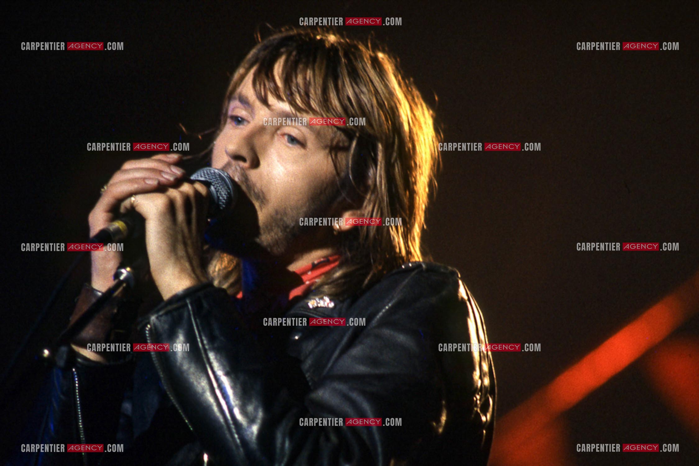 Le chanteur Renaud Séchan en concert.