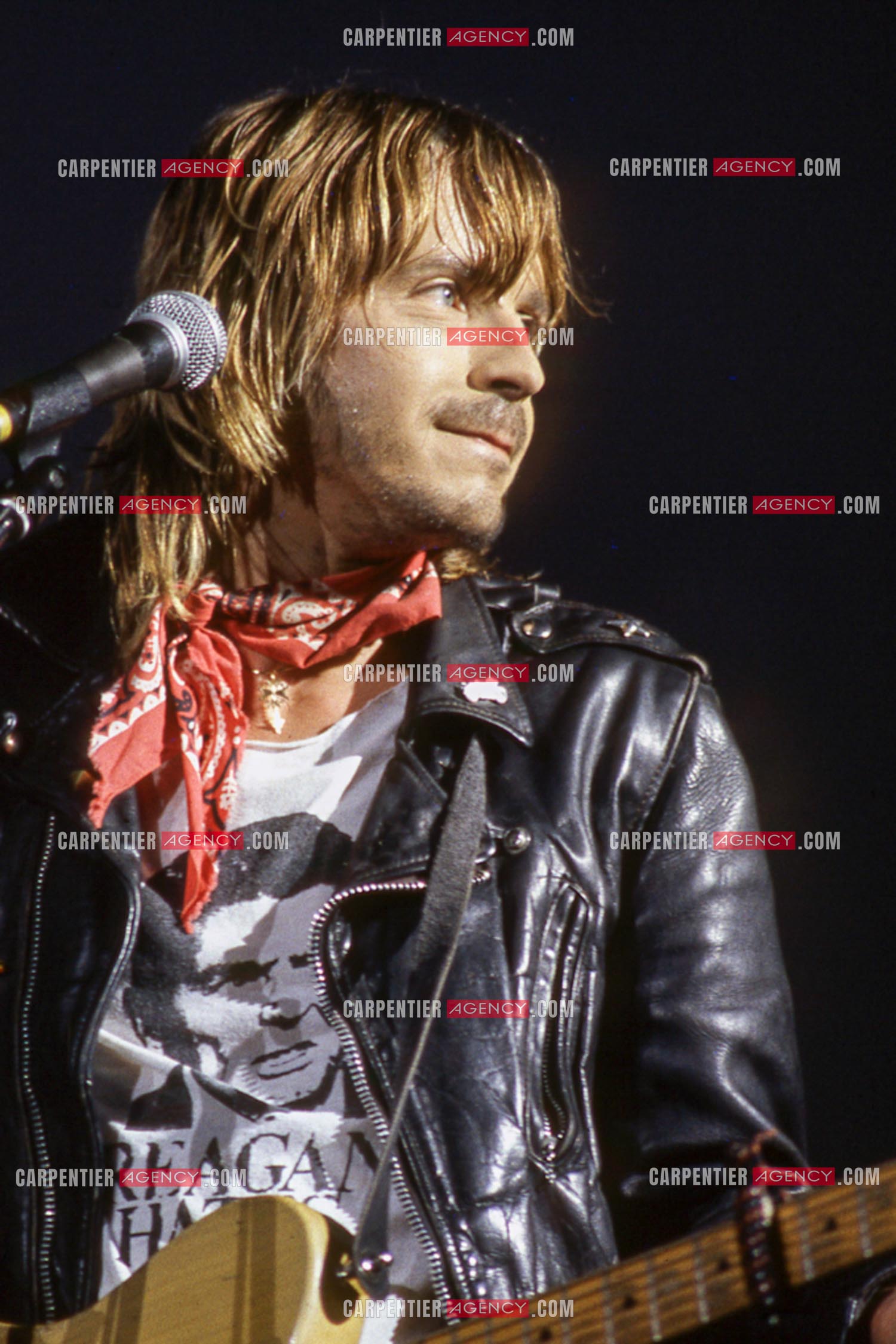 Le chanteur Renaud Séchan en concert.