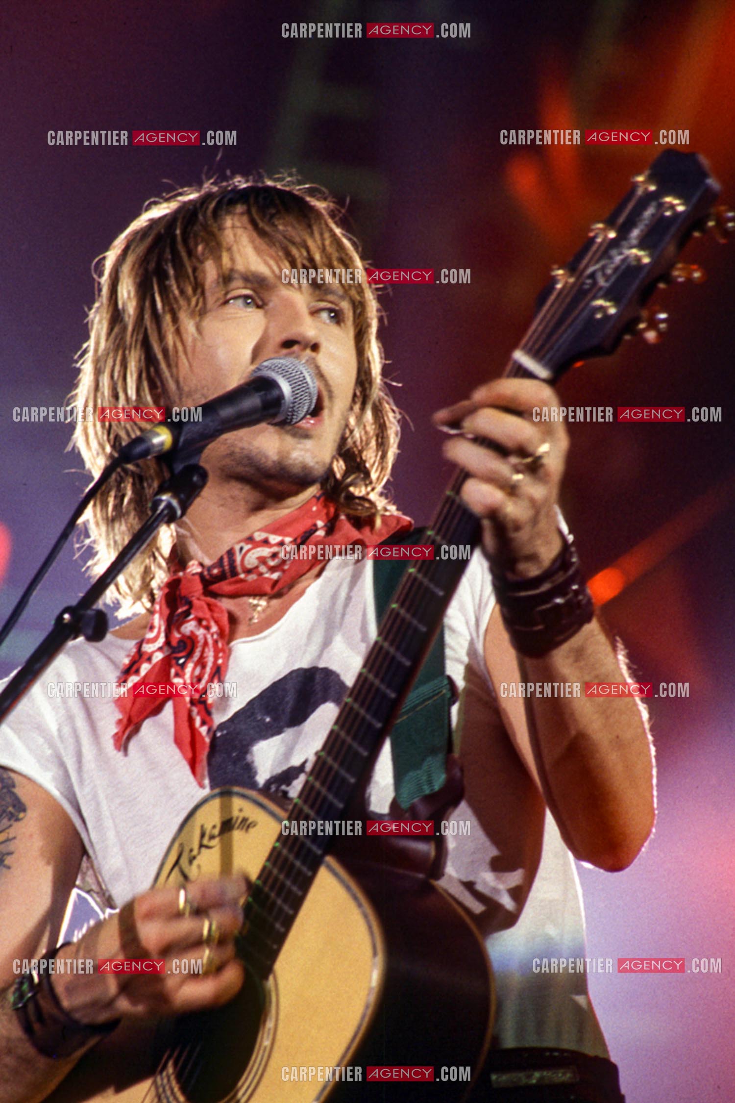 Le chanteur Renaud Séchan en concert.