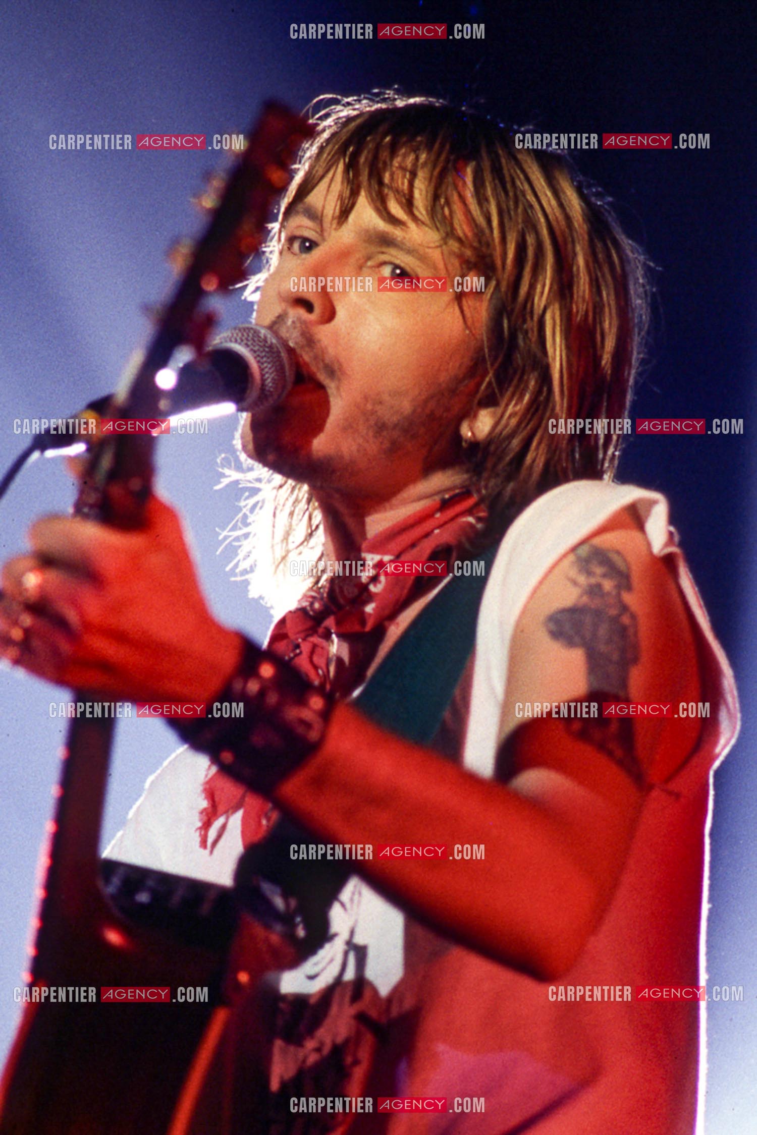 Le chanteur Renaud Séchan en concert.