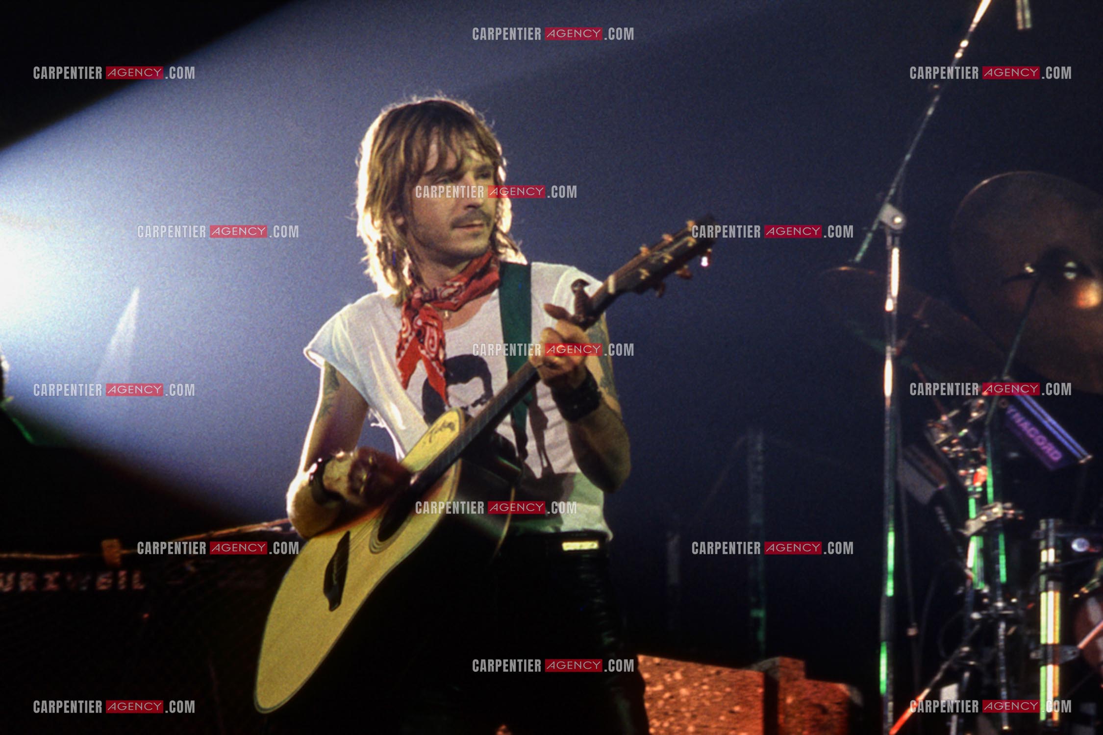 Le chanteur Renaud Séchan en concert.