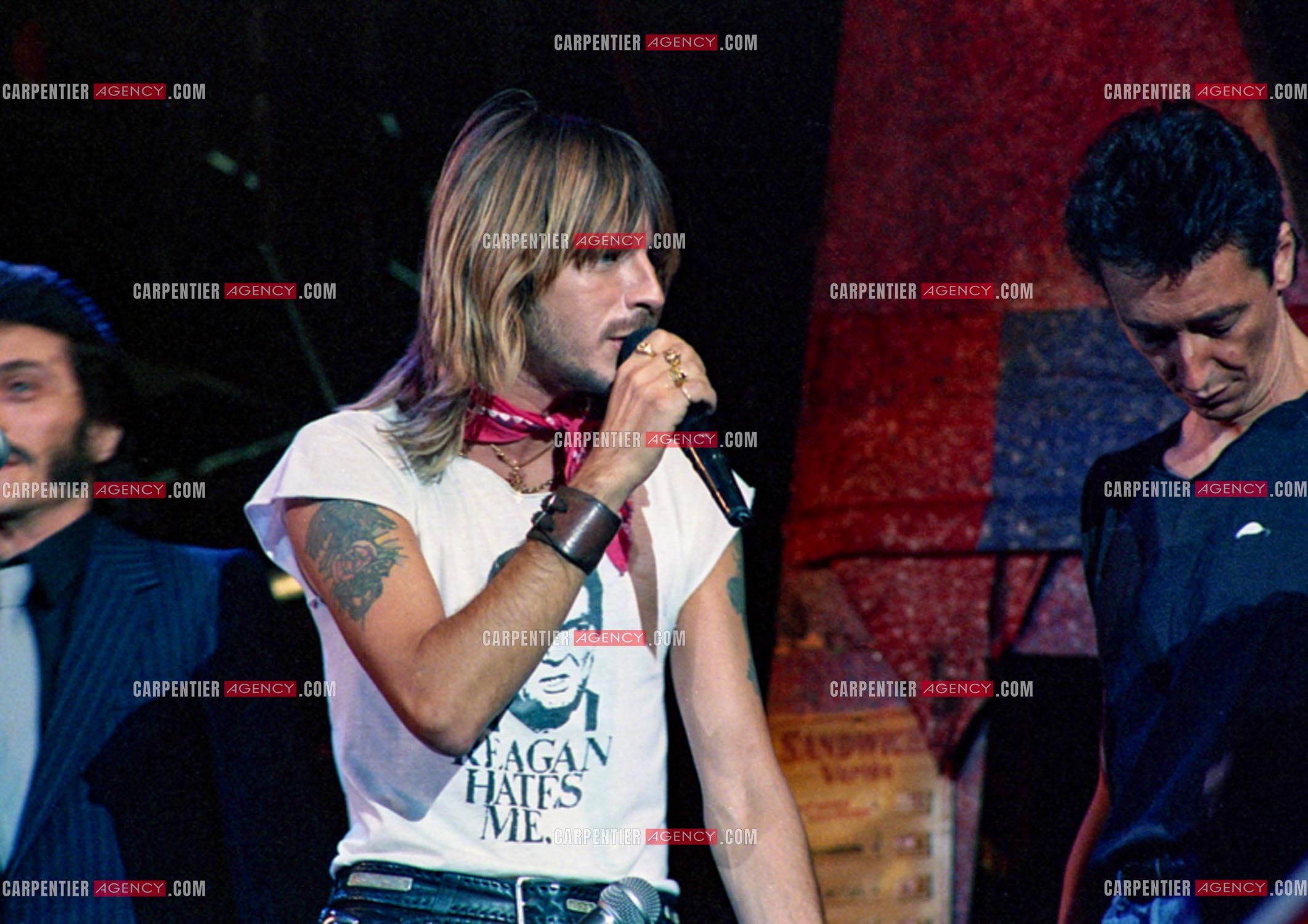 Le chanteur Renaud Séchan en concert.