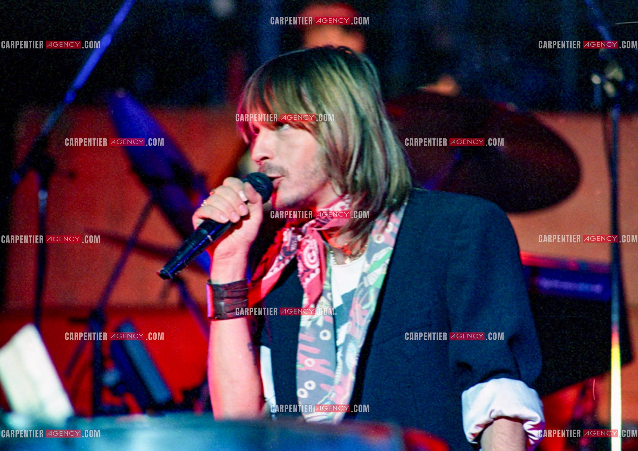 Le chanteur Renaud Séchan en concert.