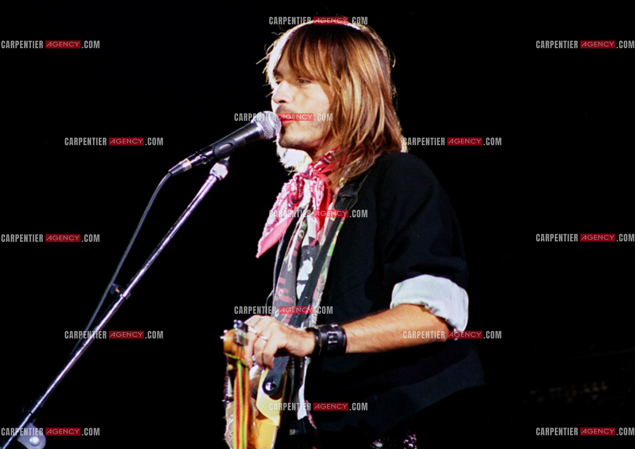 Le chanteur Renaud Séchan en concert.