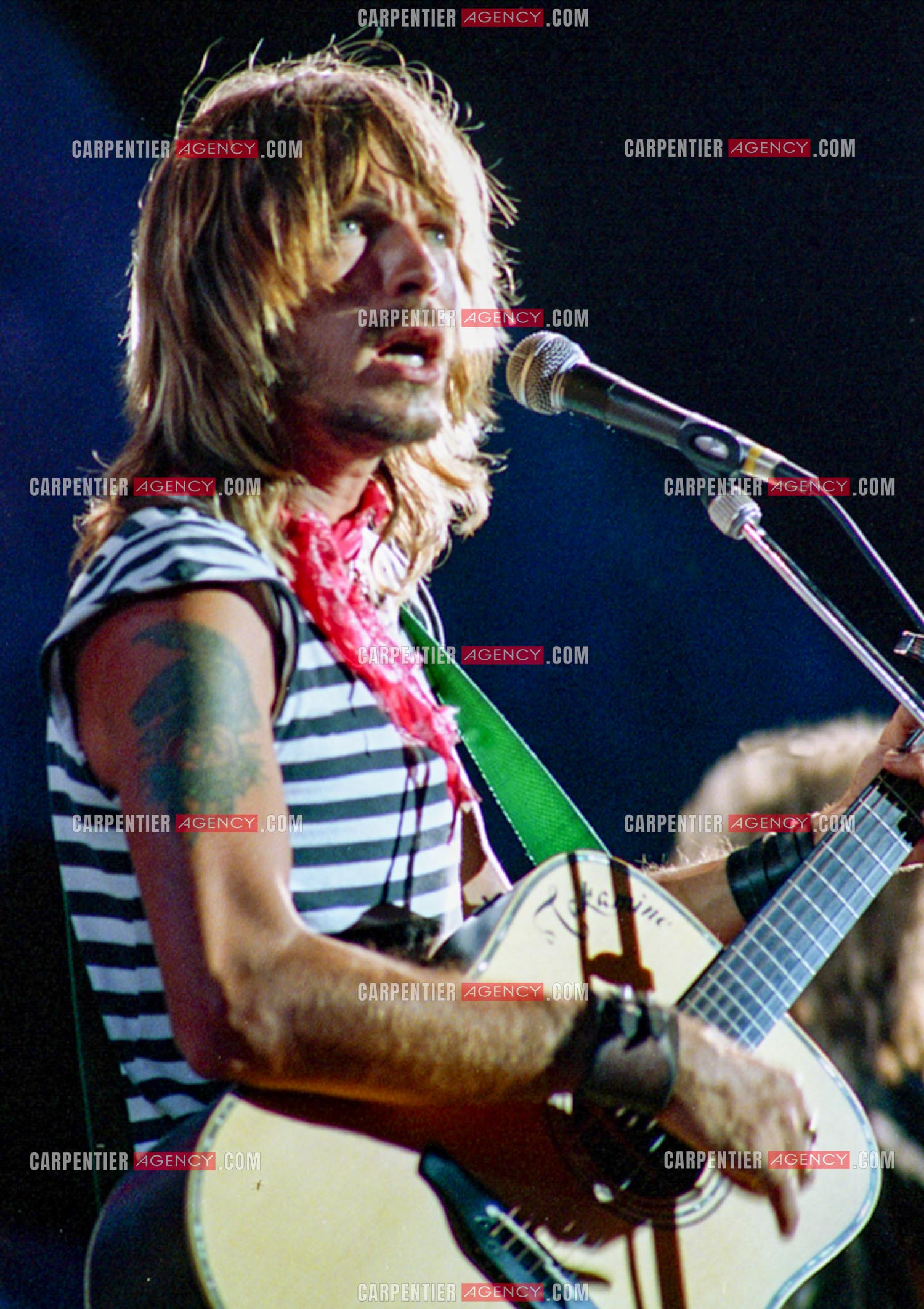 Le chanteur Renaud Séchan.