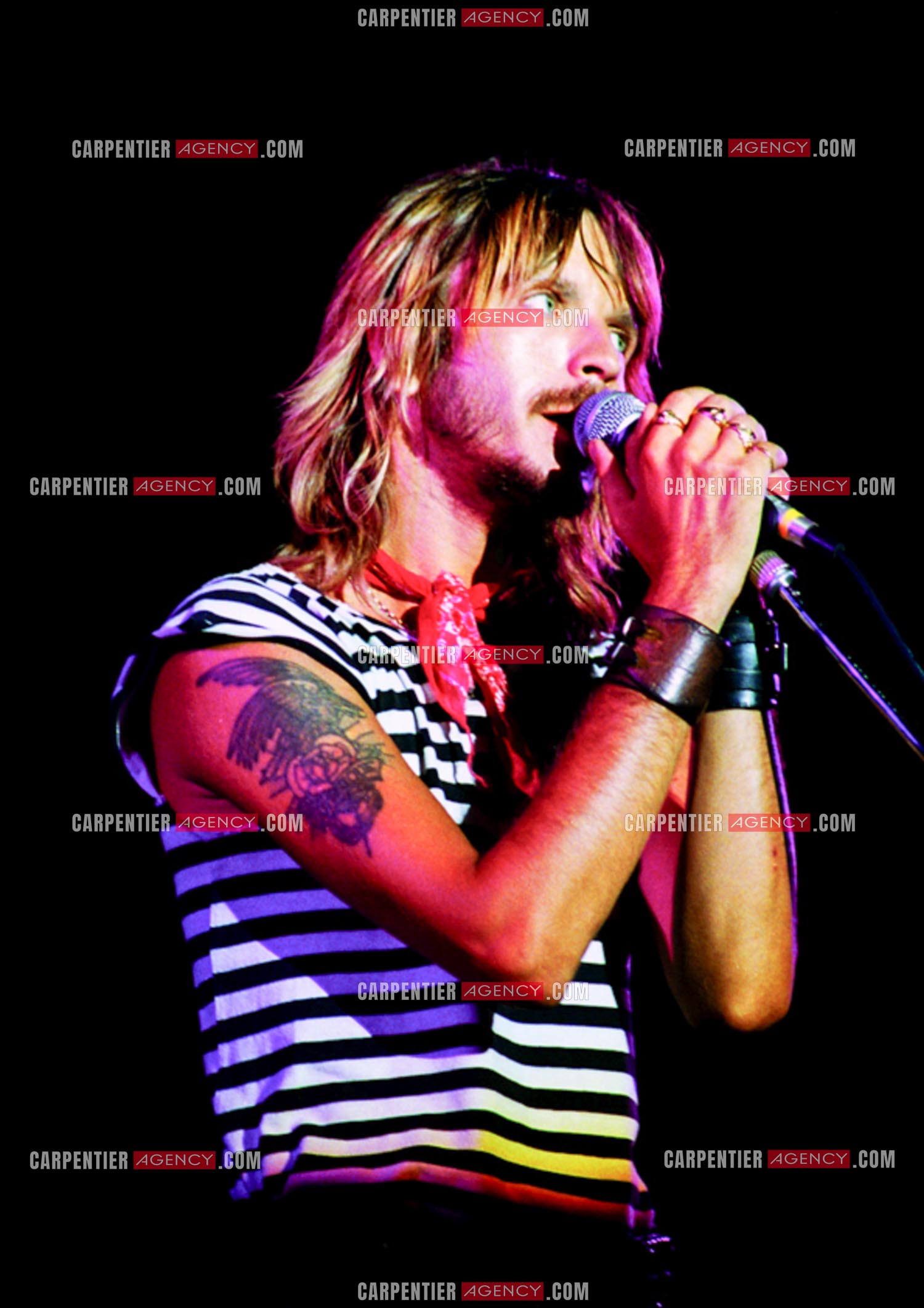 Le chanteur Renaud Séchan.
