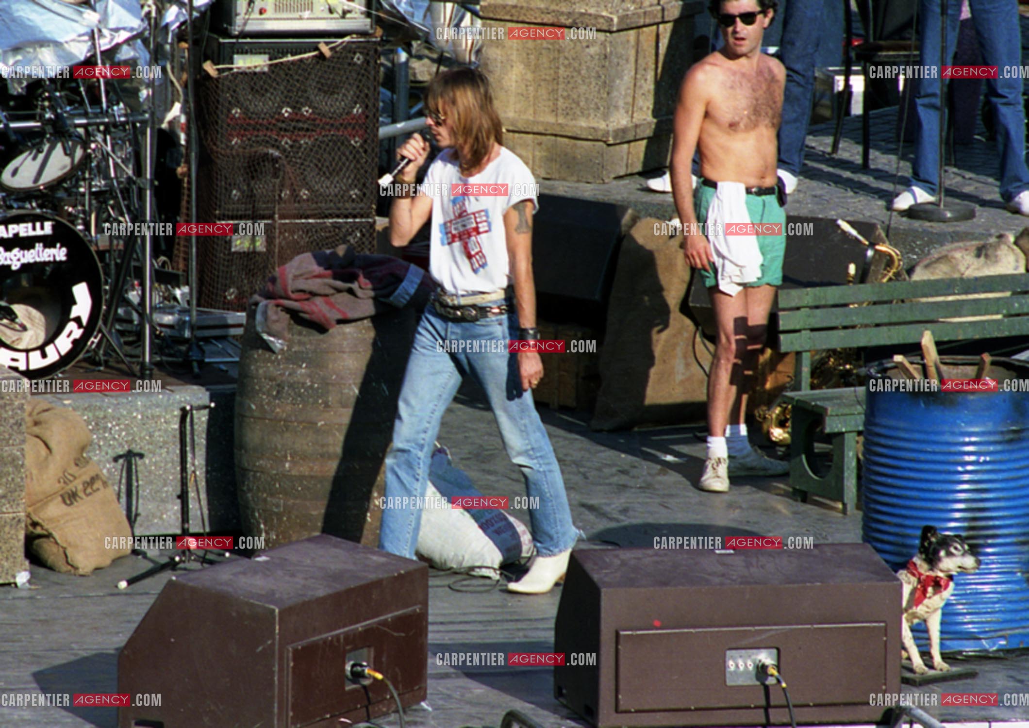 Le chanteur Renaud Séchan.