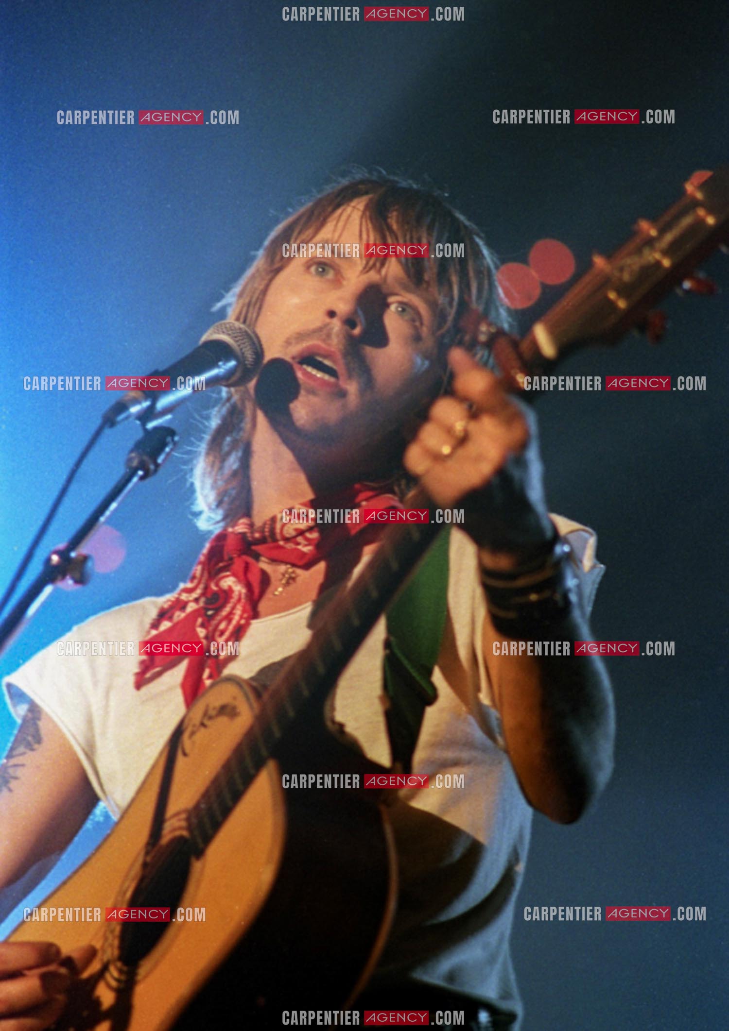 Le chanteur Renaud Séchan.