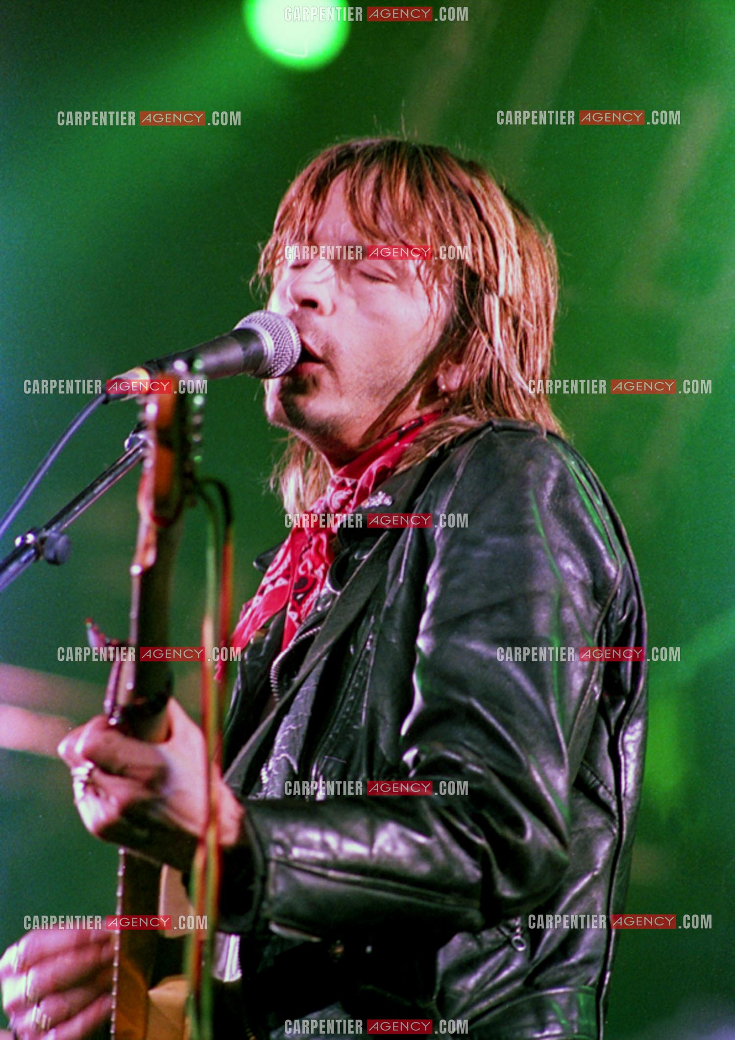 Le chanteur Renaud Séchan.