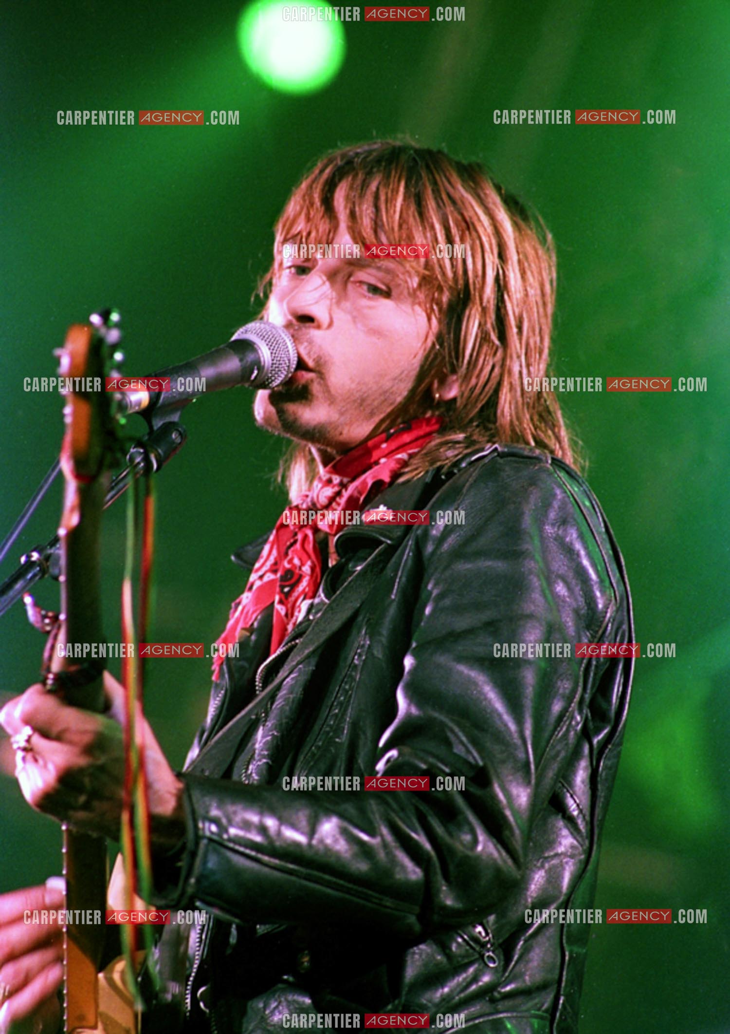 Le chanteur Renaud Séchan.