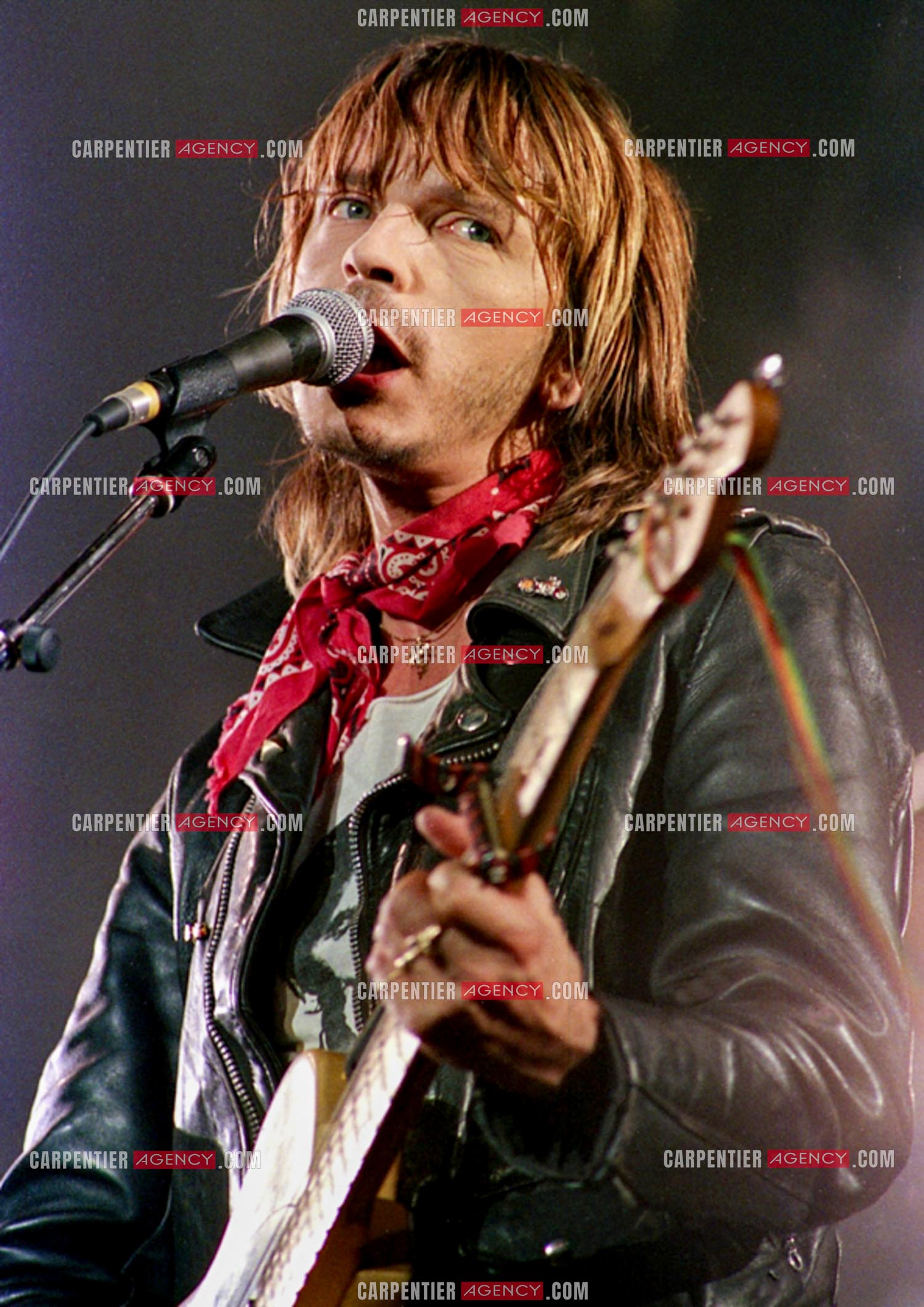 Le chanteur Renaud Séchan.
