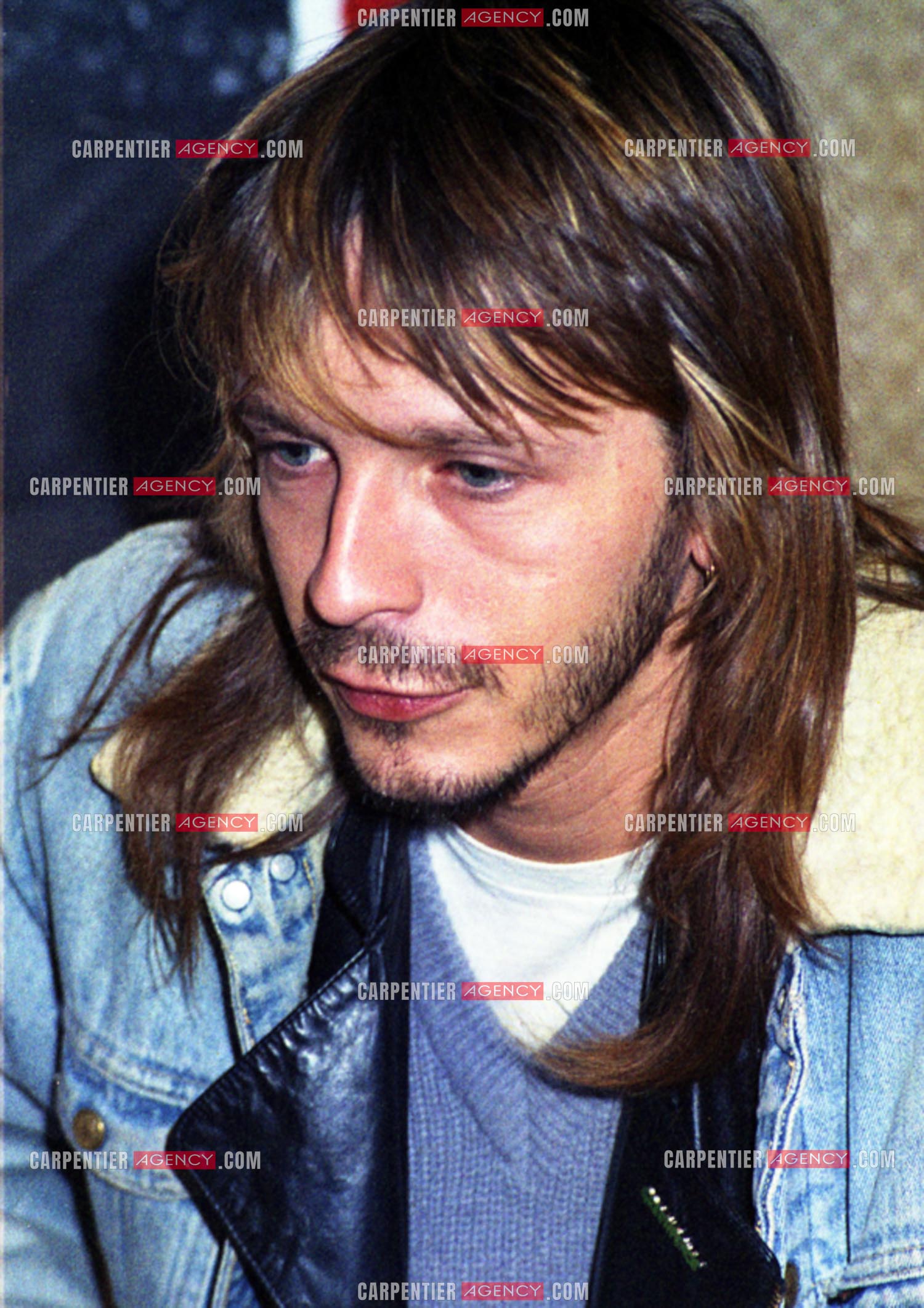 Le chanteur Renaud Séchan.
