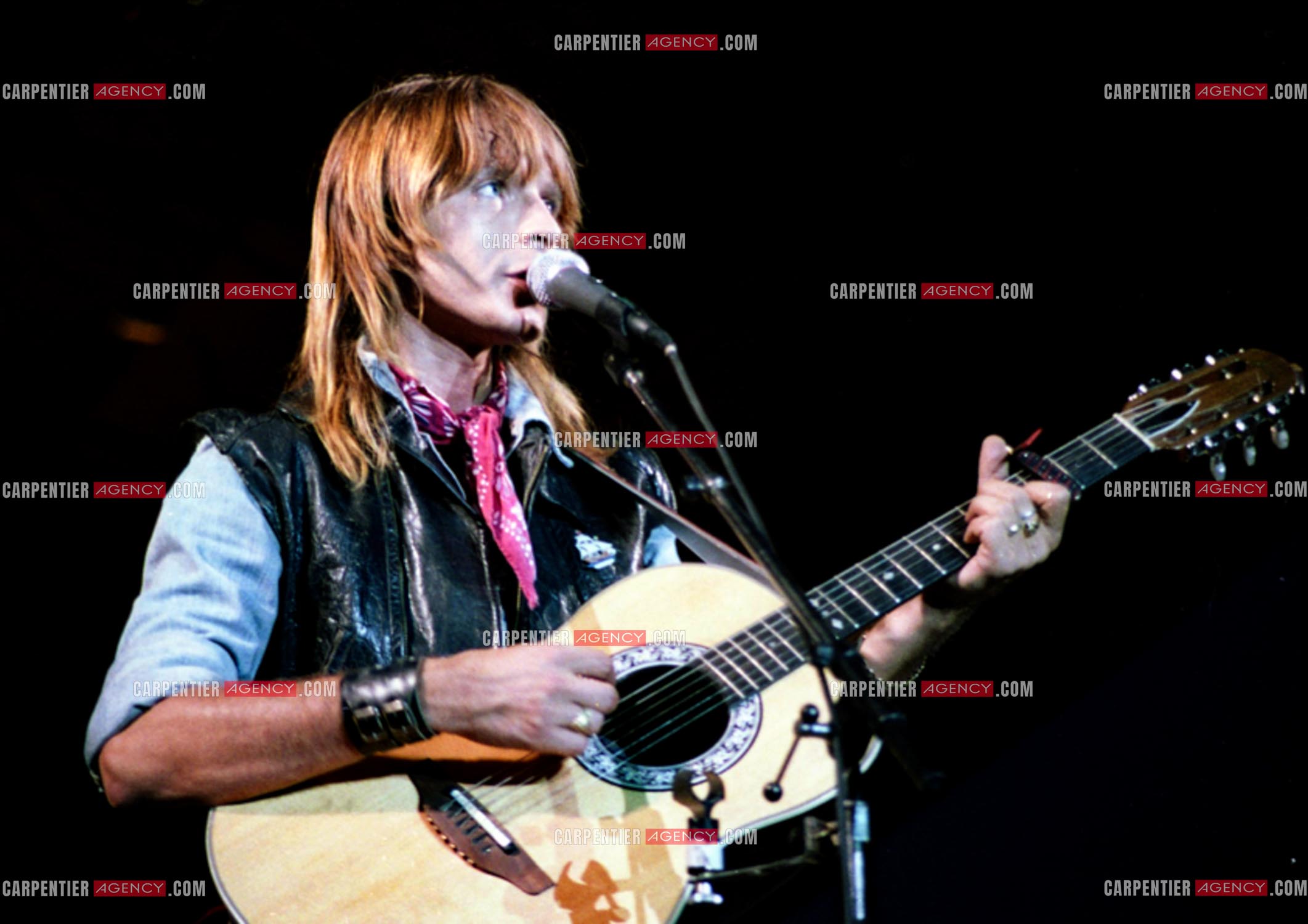 Le chanteur Renaud Séchan.