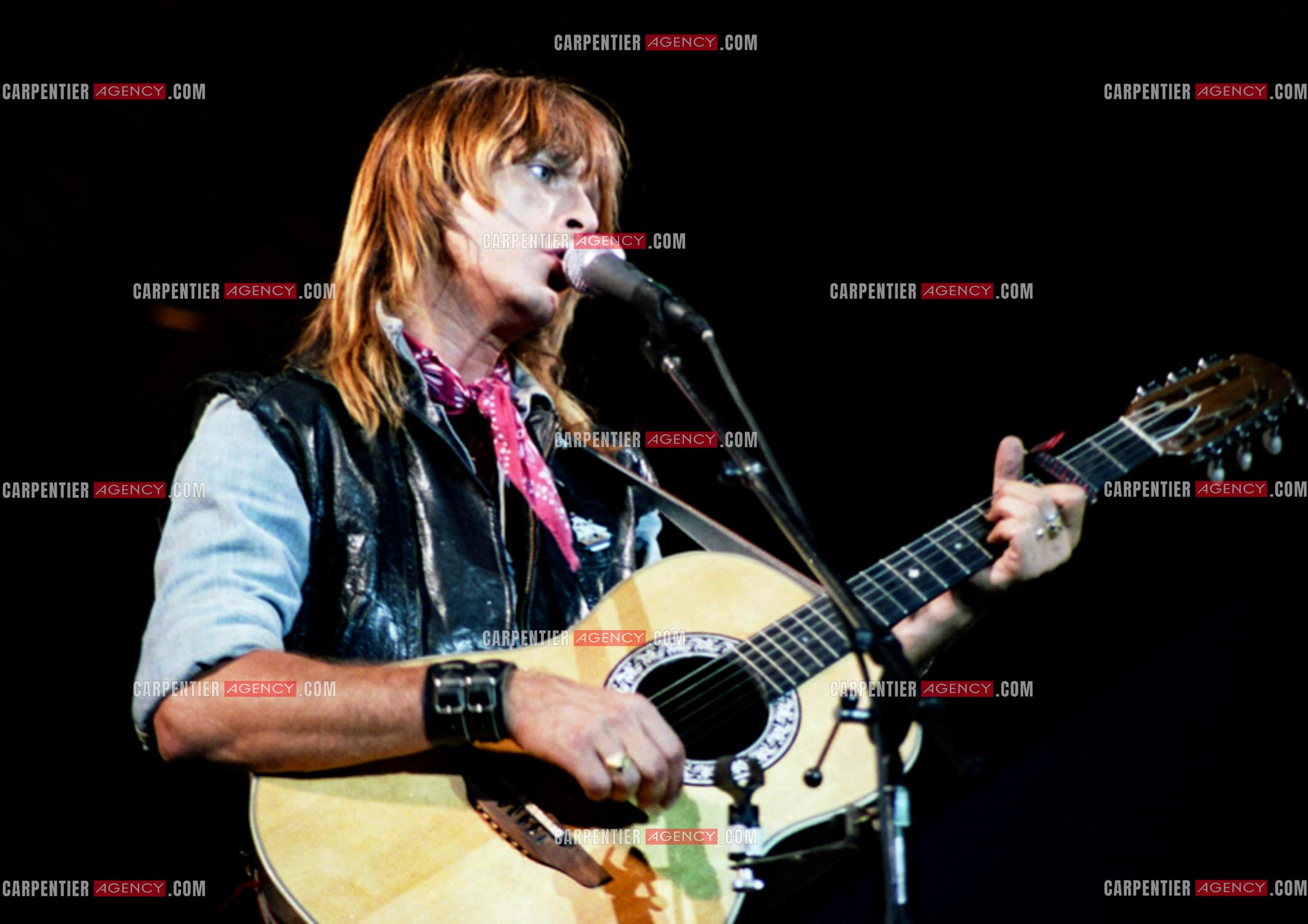Le chanteur Renaud Séchan.