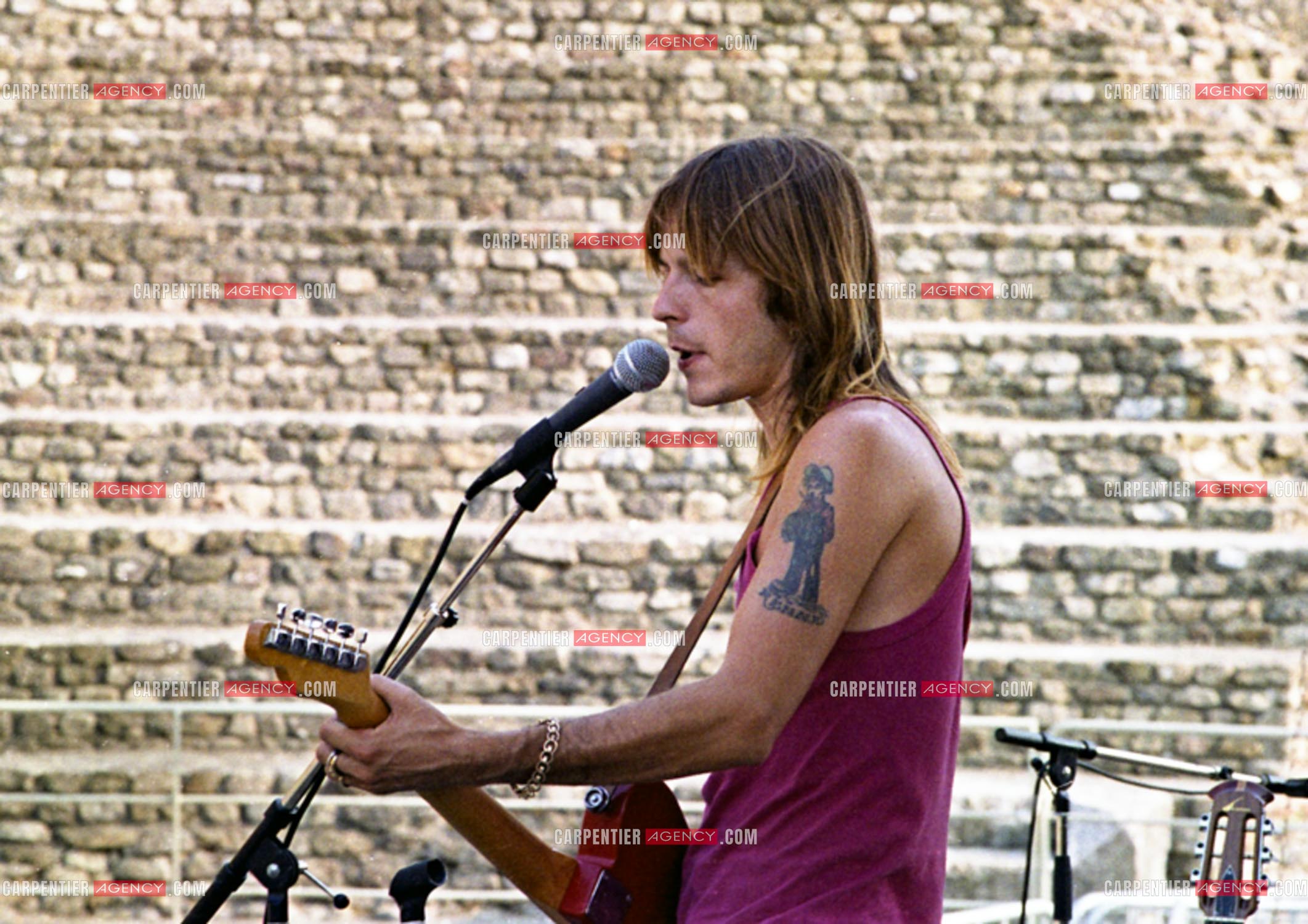 Le chanteur Renaud Séchan.