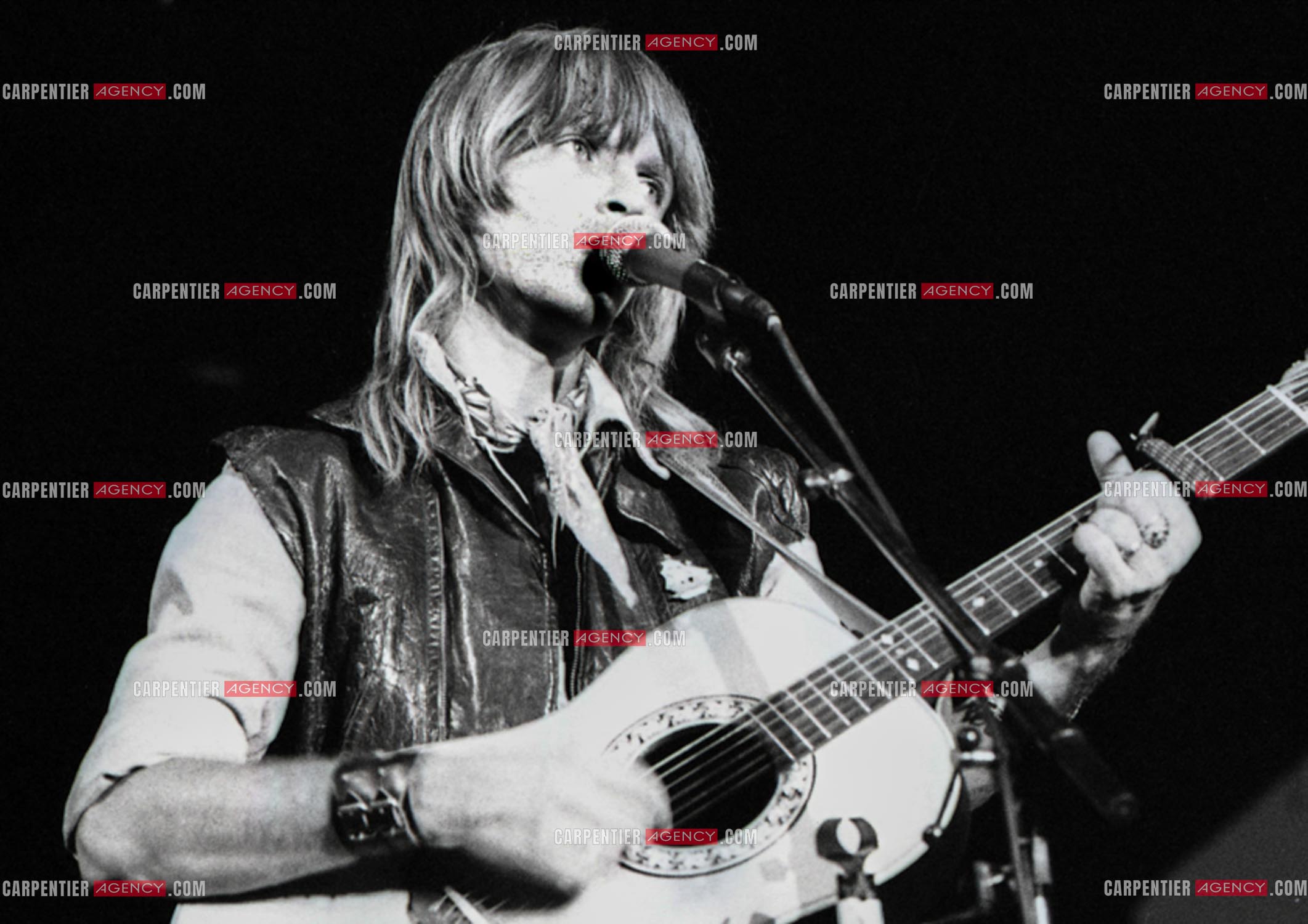 Le chanteur Renaud Séchan.