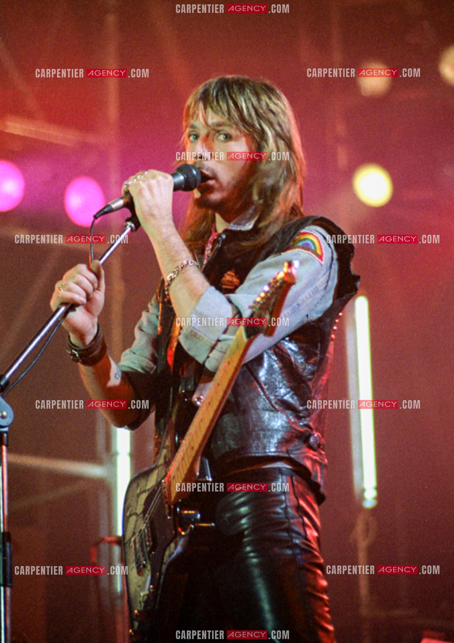 Le chanteur Renaud Séchan.