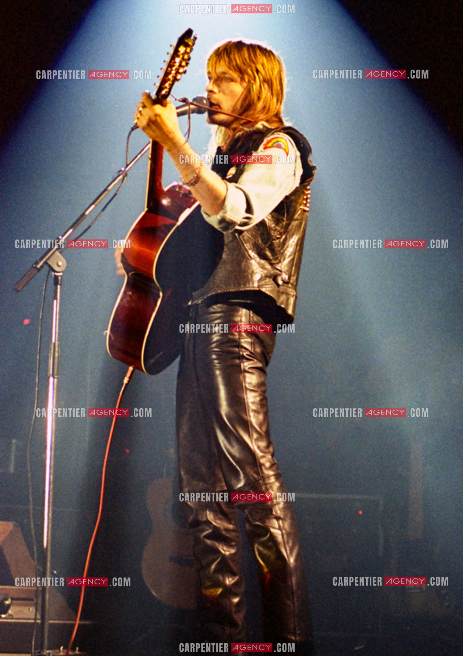 Le chanteur Renaud Séchan.