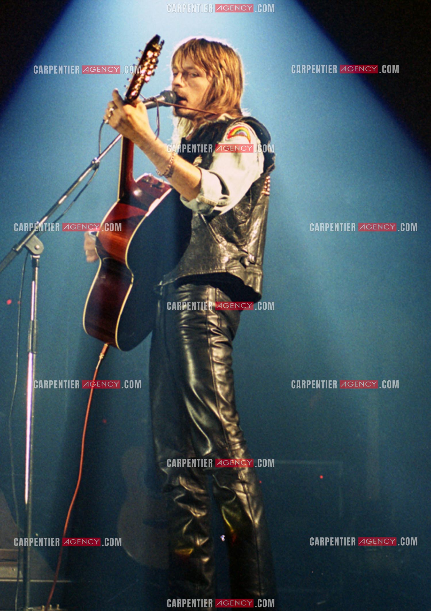 Le chanteur Renaud Séchan.