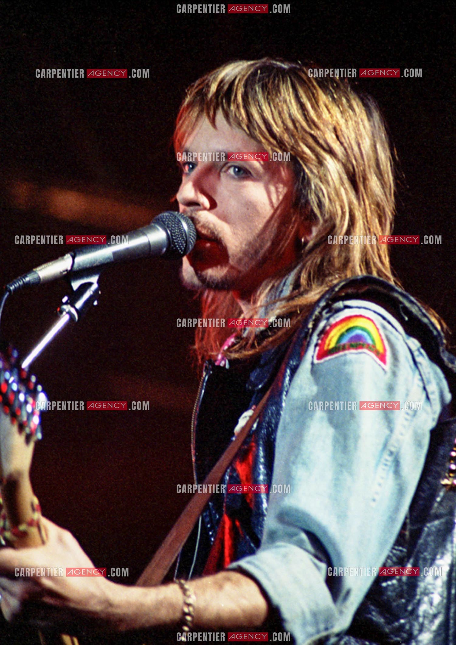 Le chanteur Renaud Séchan.
