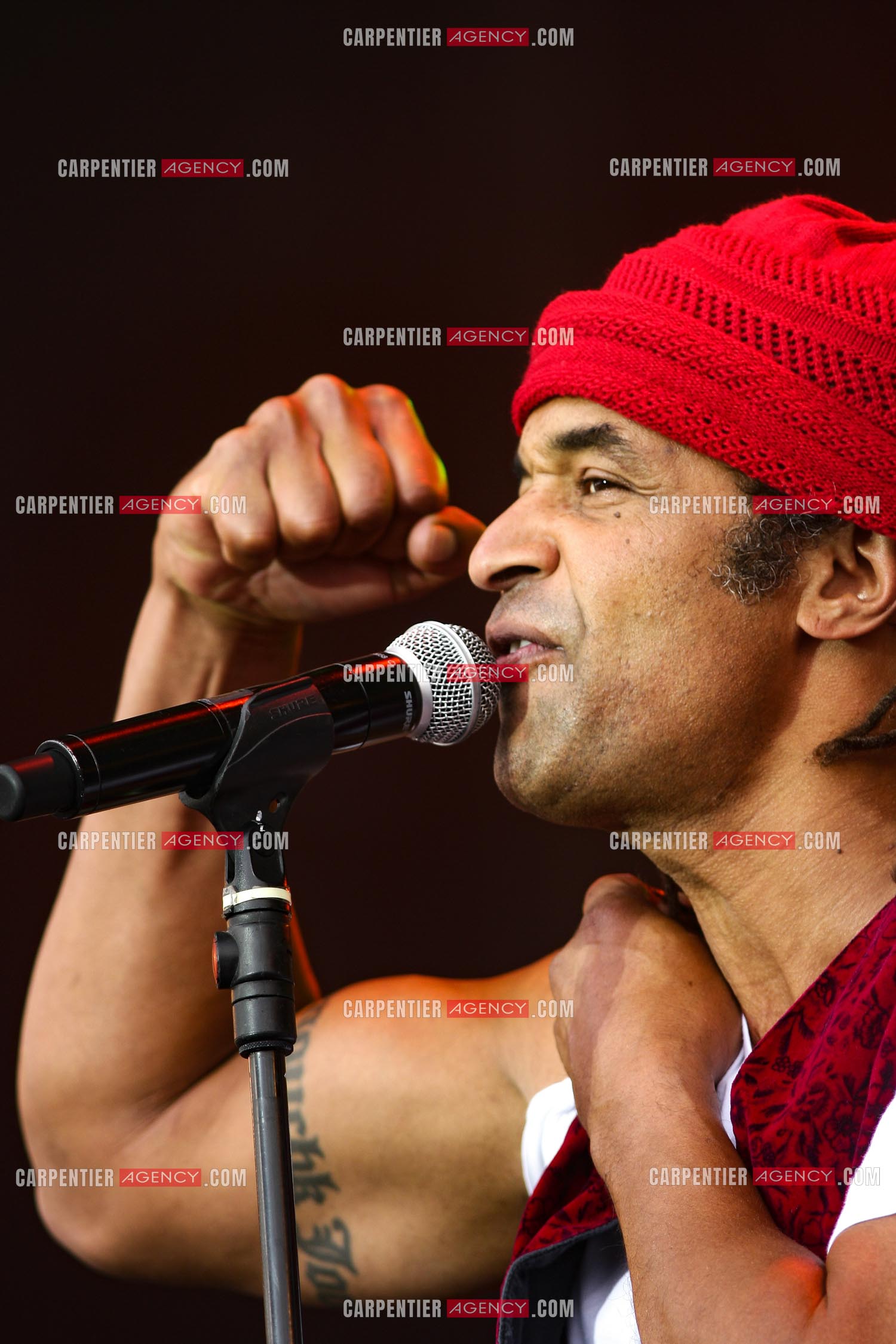 Le chanteur Yannick Noah en concert.                                ( Exclusif )