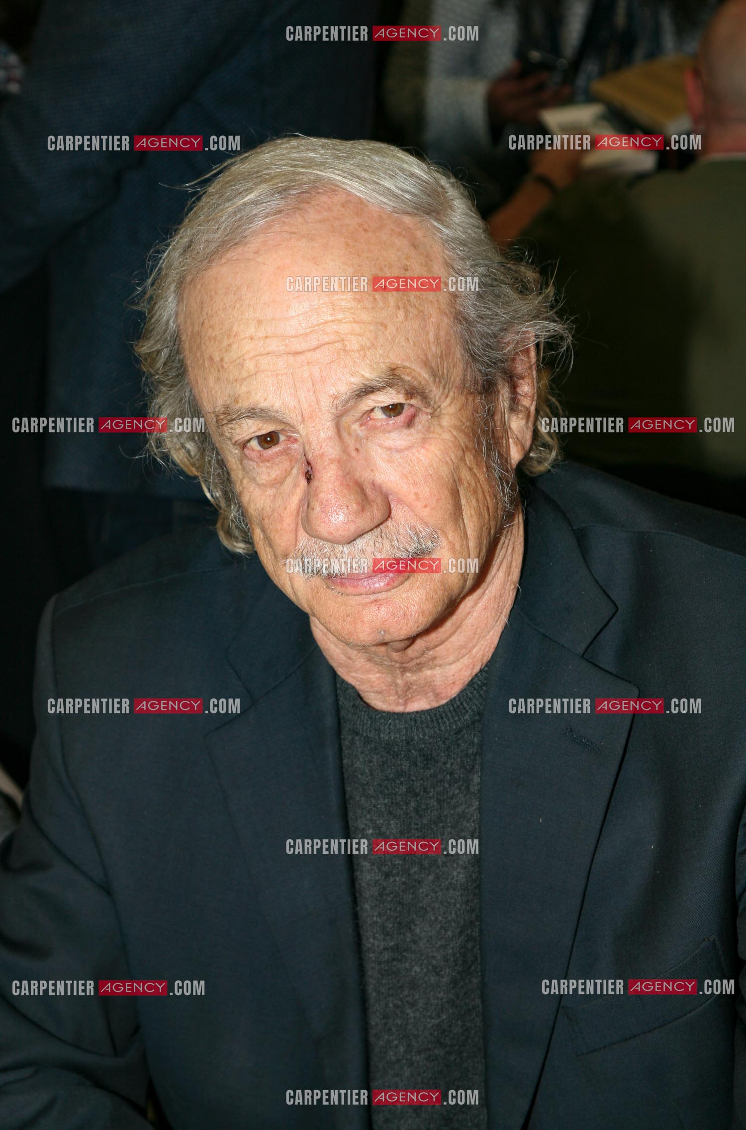 L'acteur Patrick Chesnais.