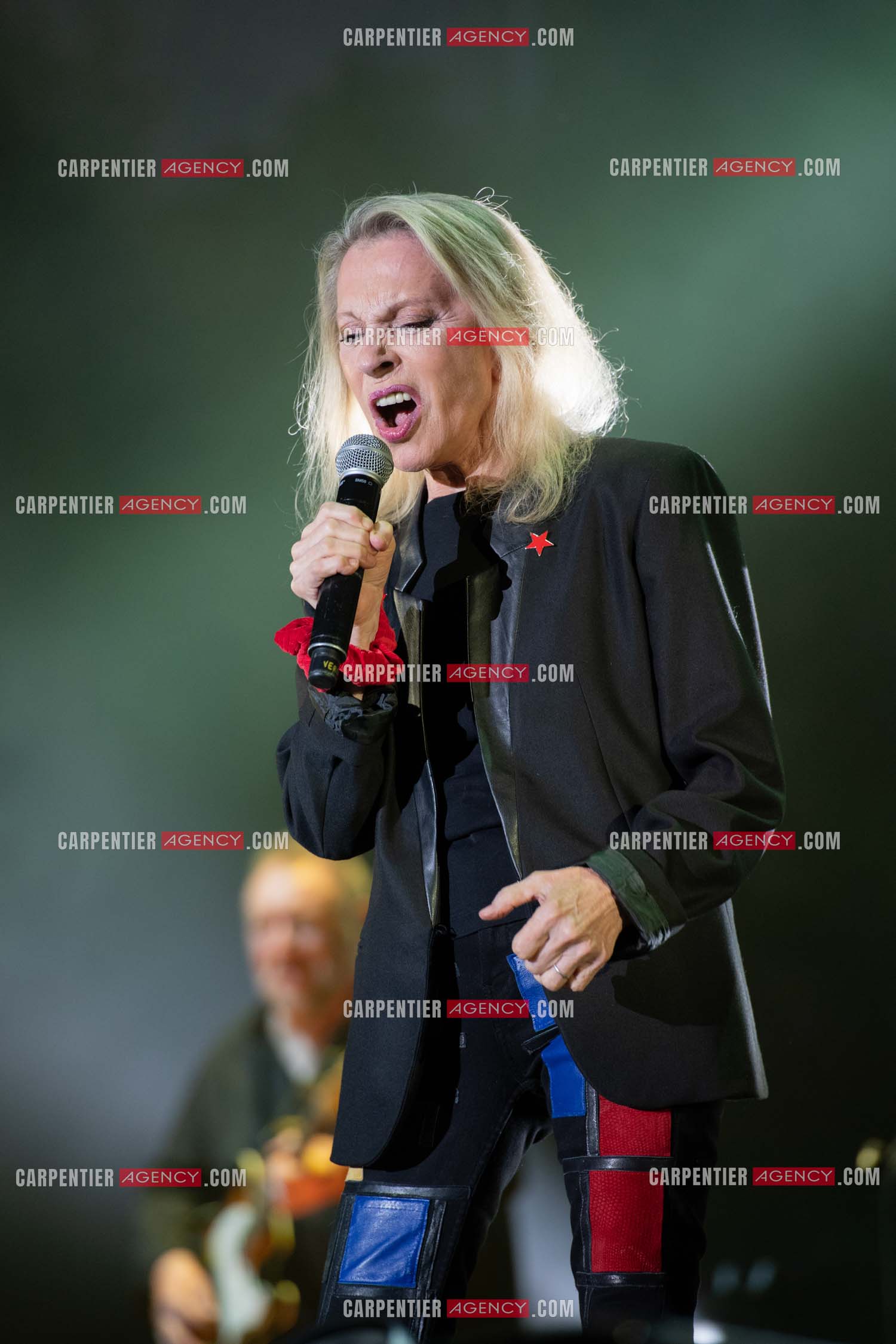 La chanteuse Véronique Sanson en concert lors du festival d'été de Soliès Pont le 17 juillet 2021.  ( Exclusif )