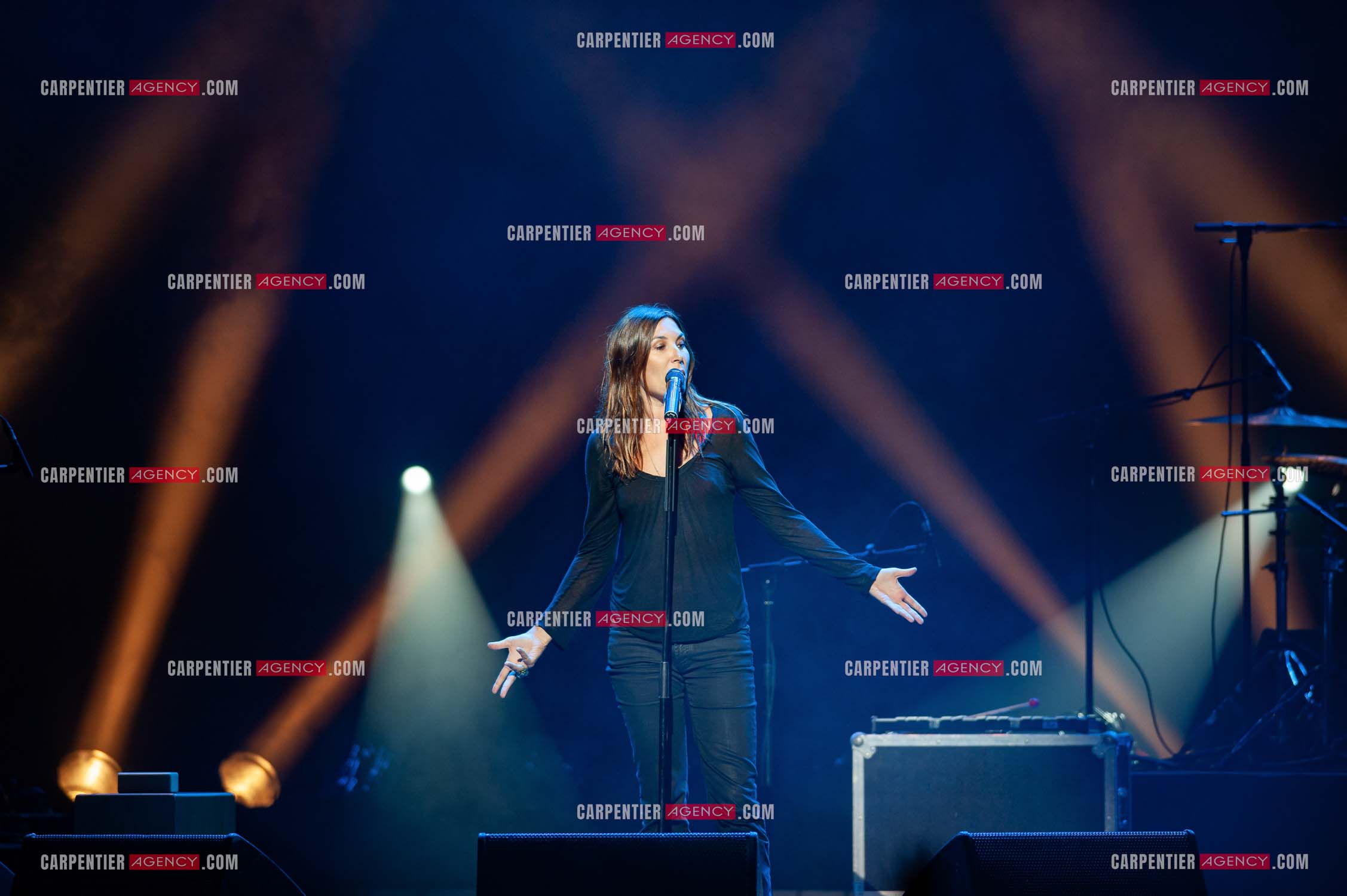 La chanteuse Zazie en concert au Zénith de Paris “ CONCERT POUR LA PLANETE “le 03 Sept 2008.   ( Exclusif )