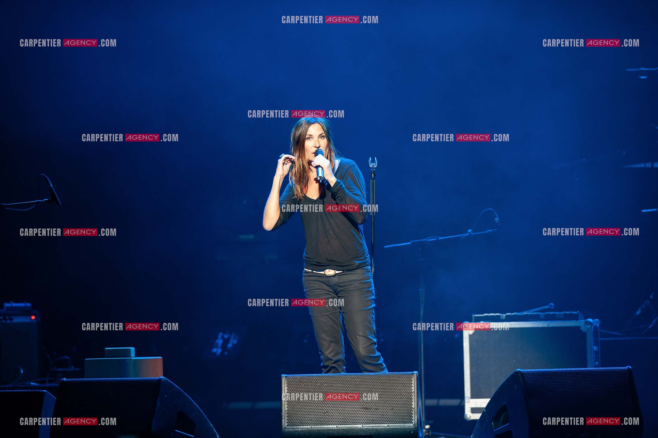 La chanteuse Zazie en concert au Zénith de Paris “ CONCERT POUR LA PLANETE “le 03 Sept 2008.   ( Exclusif )