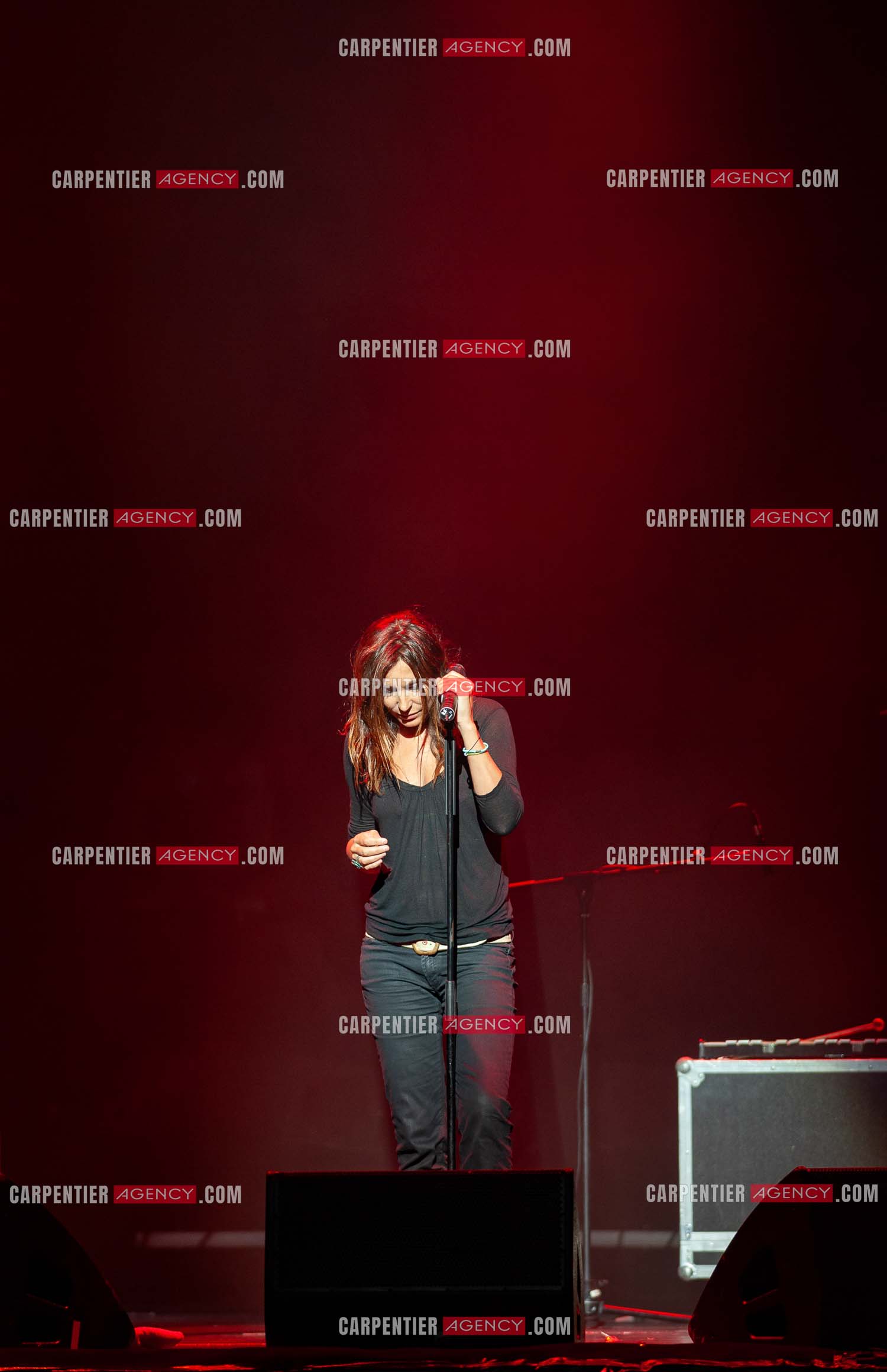 La chanteuse Zazie en concert au Zénith de Paris “ CONCERT POUR LA PLANETE “le 03 Sept 2008.   ( Exclusif )