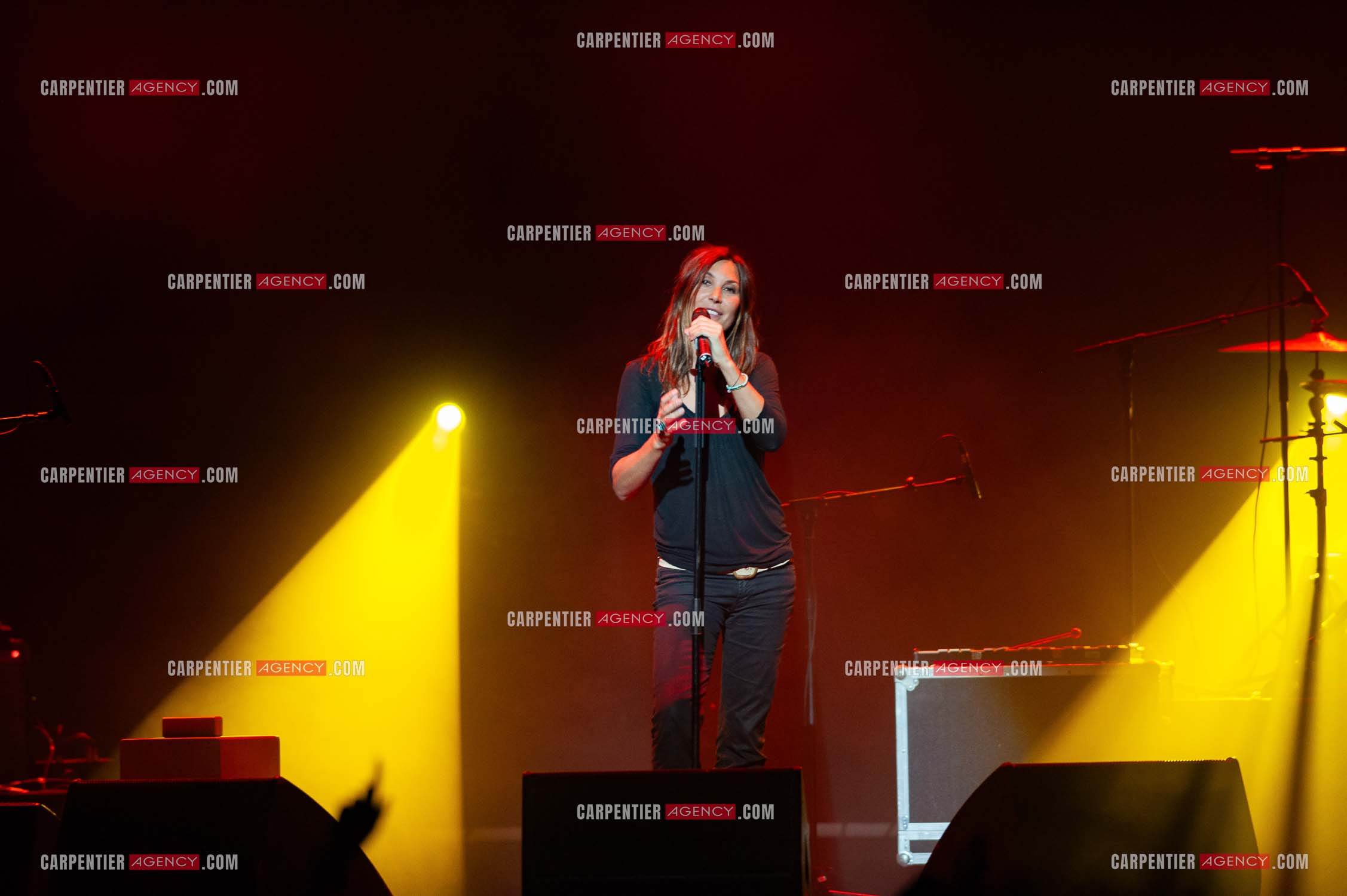 La chanteuse Zazie en concert au Zénith de Paris “ CONCERT POUR LA PLANETE “le 03 Sept 2008.   ( Exclusif )